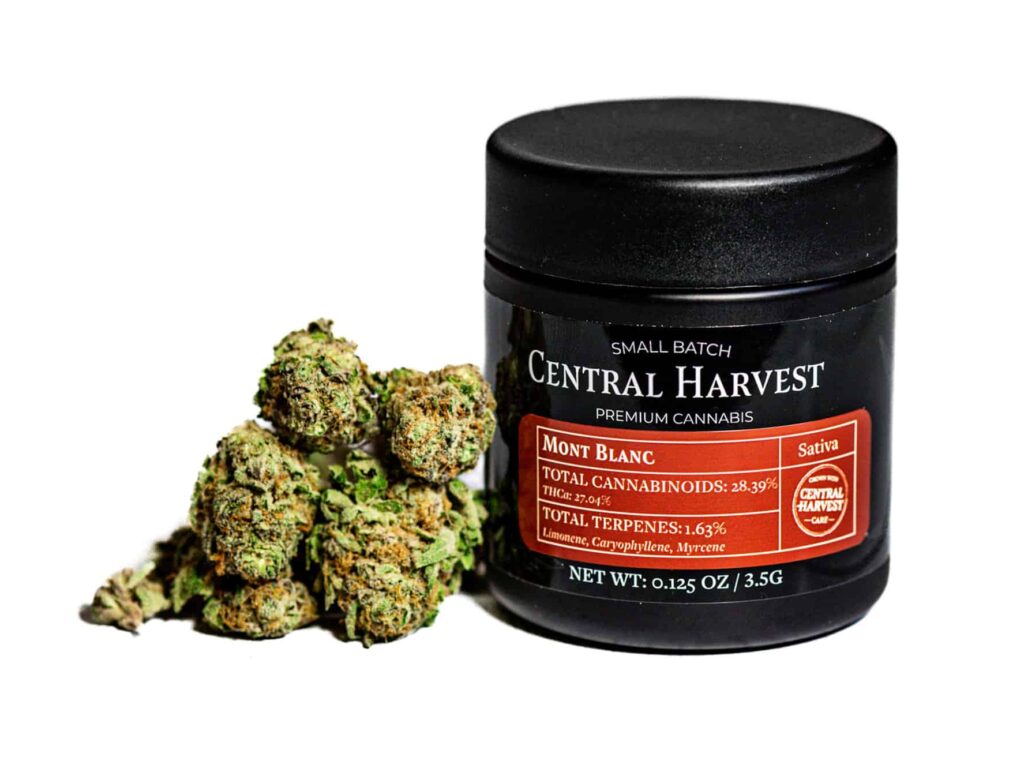 Mont Blanc a Sativa Cannabis strain grown by Central Harvest