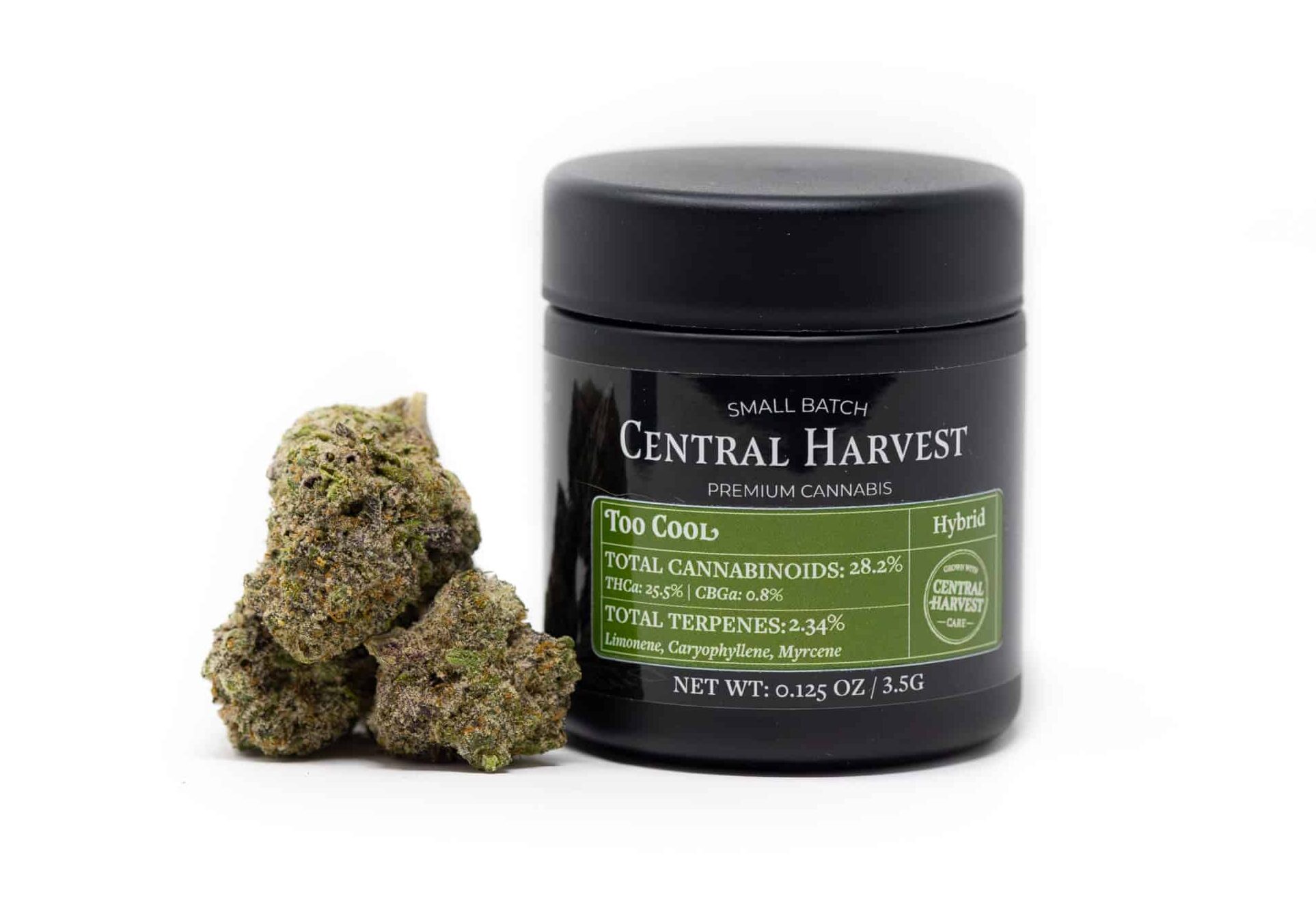 Too Cool a Hybrid Cannabis strain grown by Central Harvest
