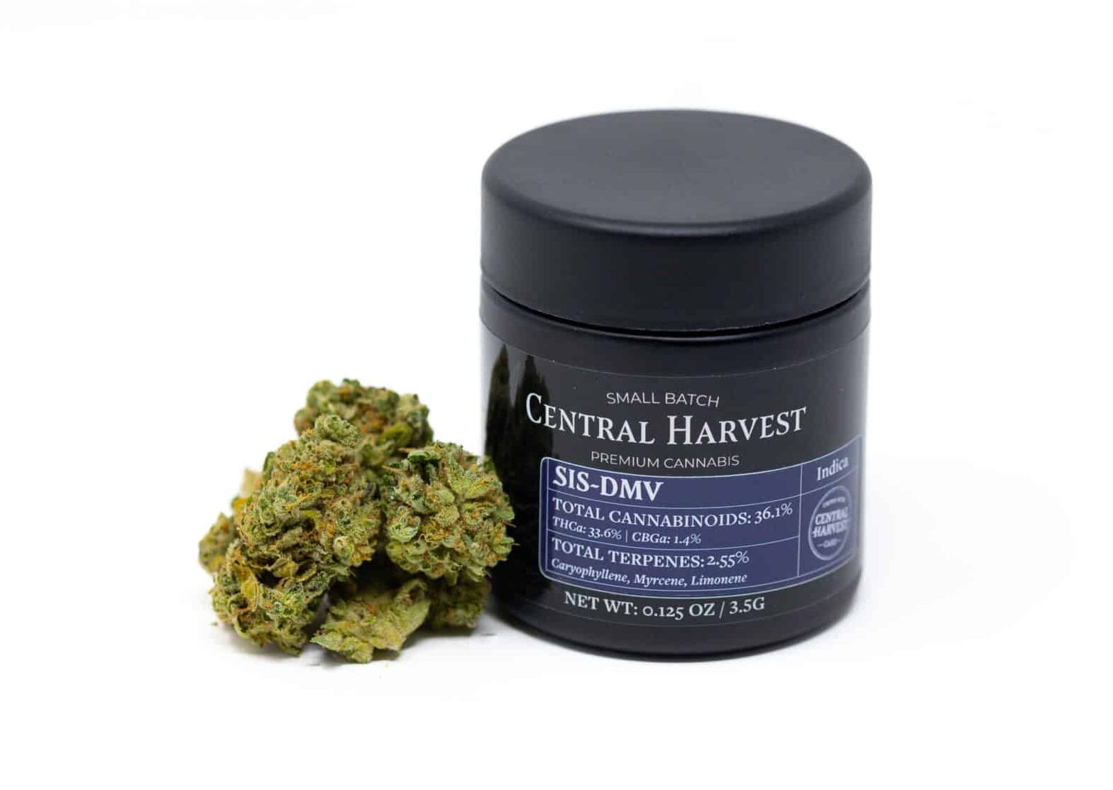 SIS-DMV an Indica Cannabis strain grown by Central Harvest
