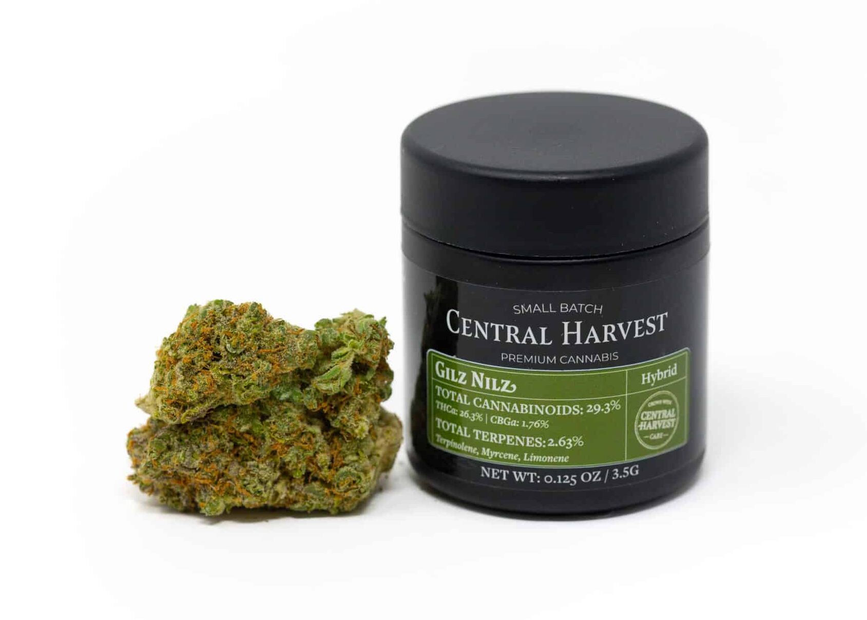 Gilz Nilz is a Hybrid Cannabis strain grown by Central Harvest