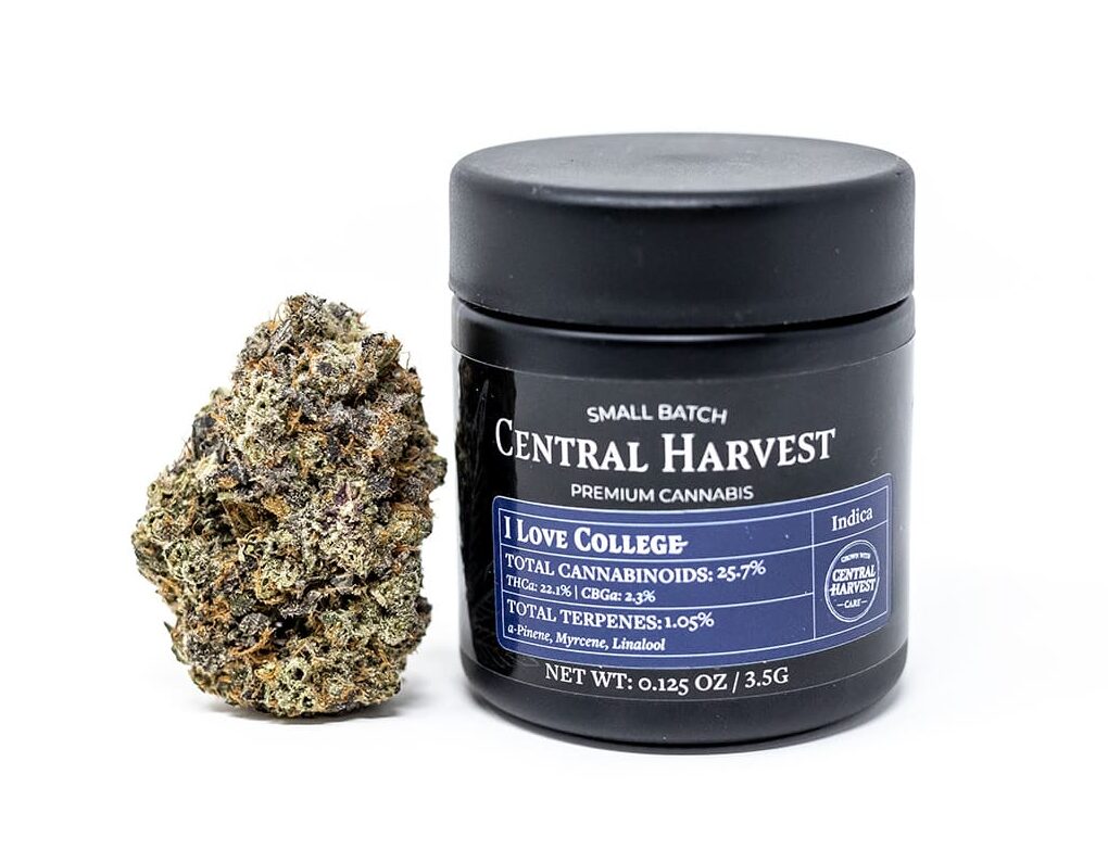 I Love College an Indica Cannabis strain grown by Central Harvest