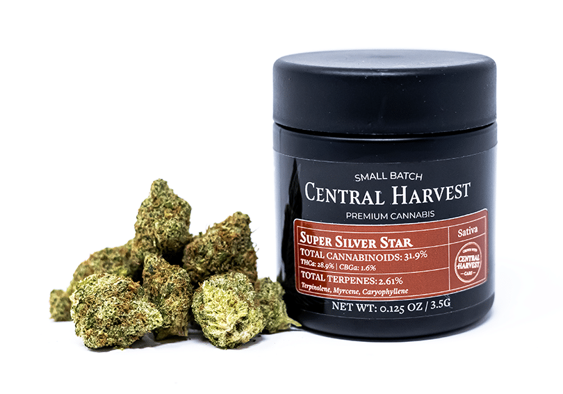 Super Silver Star is a Sativa Cannabis strain grown by Central Harvest