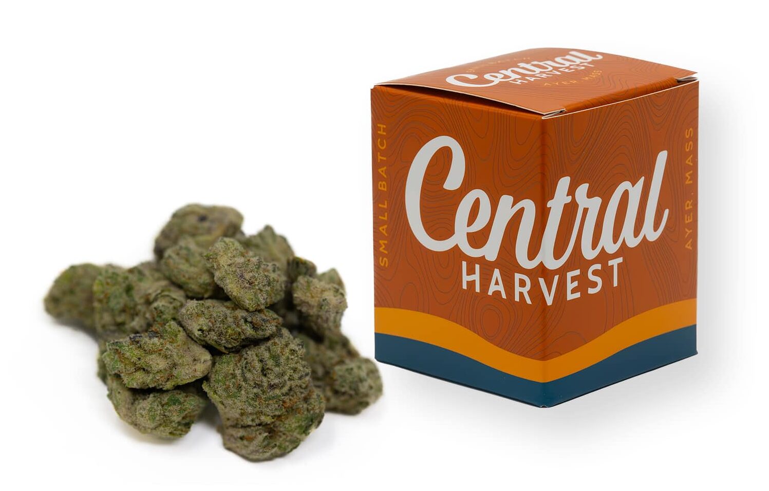 Bread & Butter a Hybrid Cannabis strain grown at Central Harvest