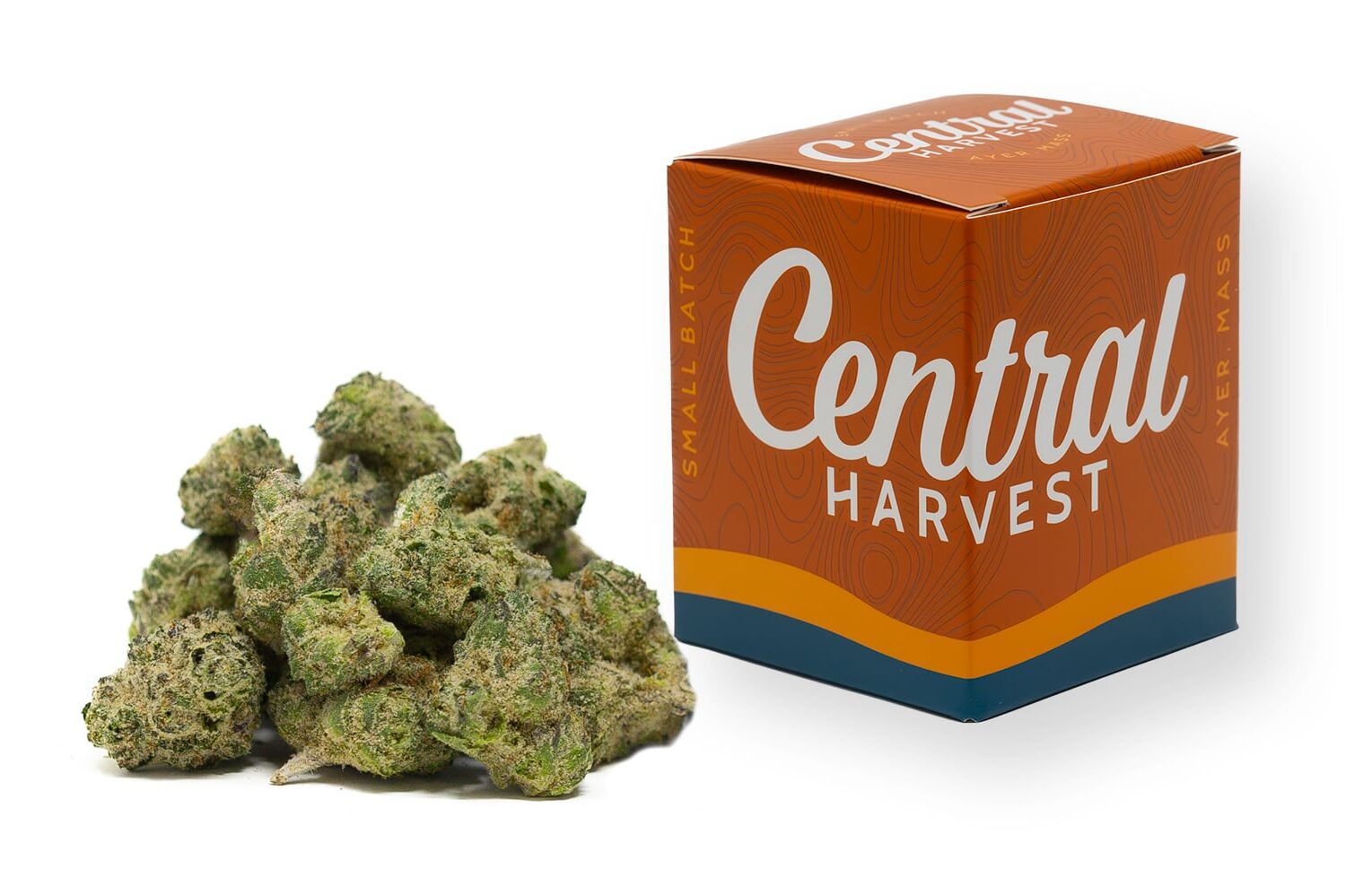 Buckin' Runtz an Indica Cannabis strain grown by Central Harvest