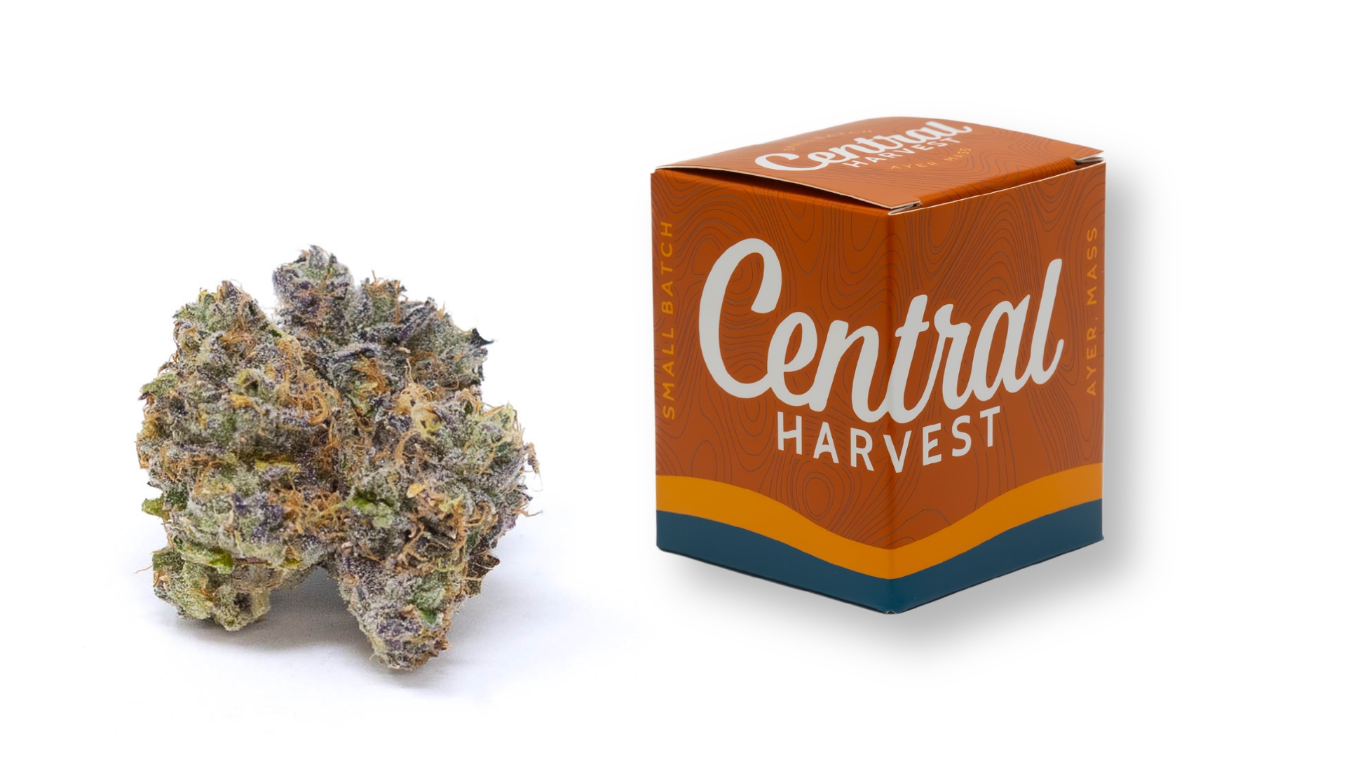 Buckin' Runtz is an Indica Cannabis Strain grown and packaged at Central Harvest