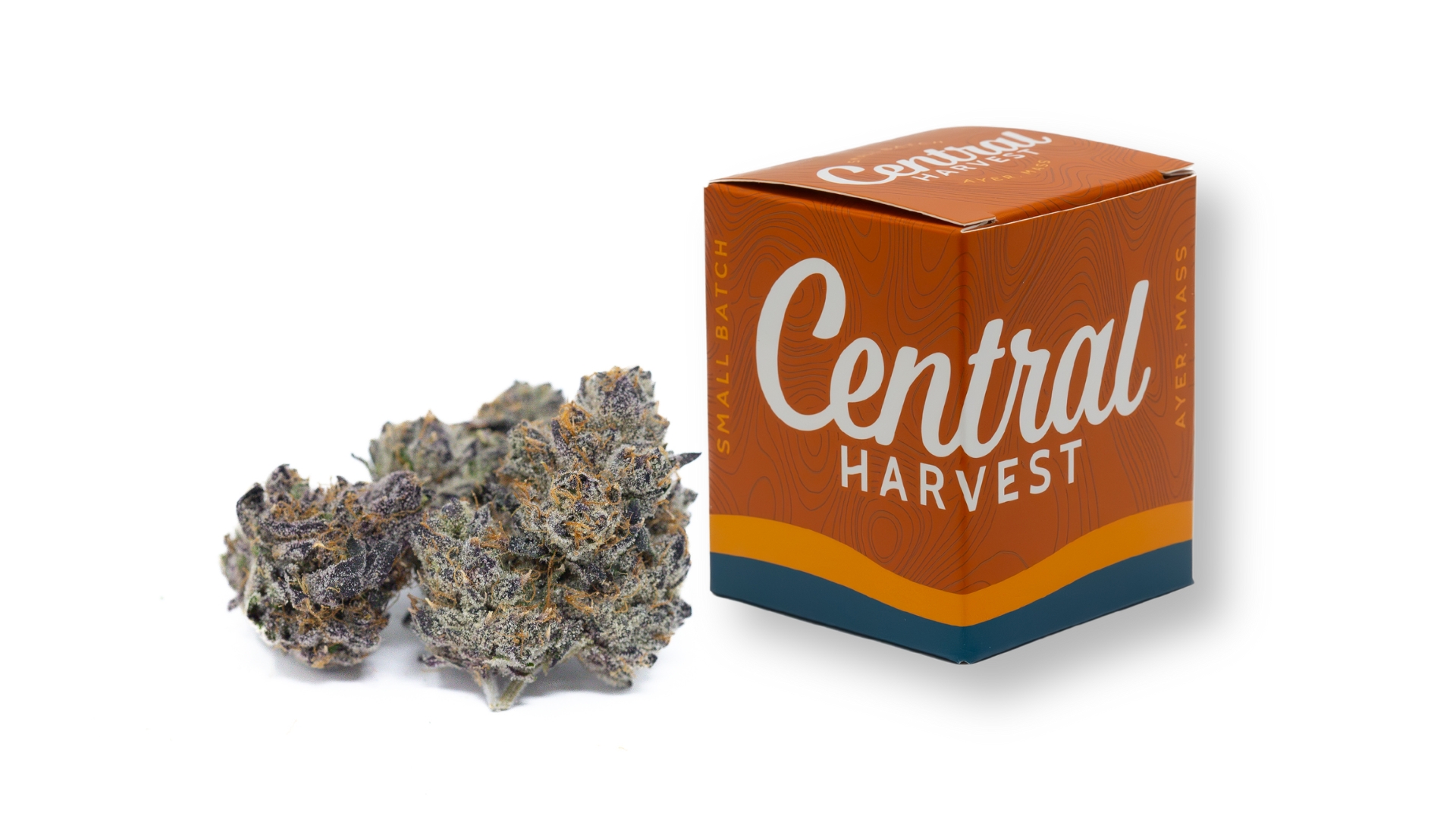 Buckin' Runtz Indica Cannabis Strain grown by Central Harvest