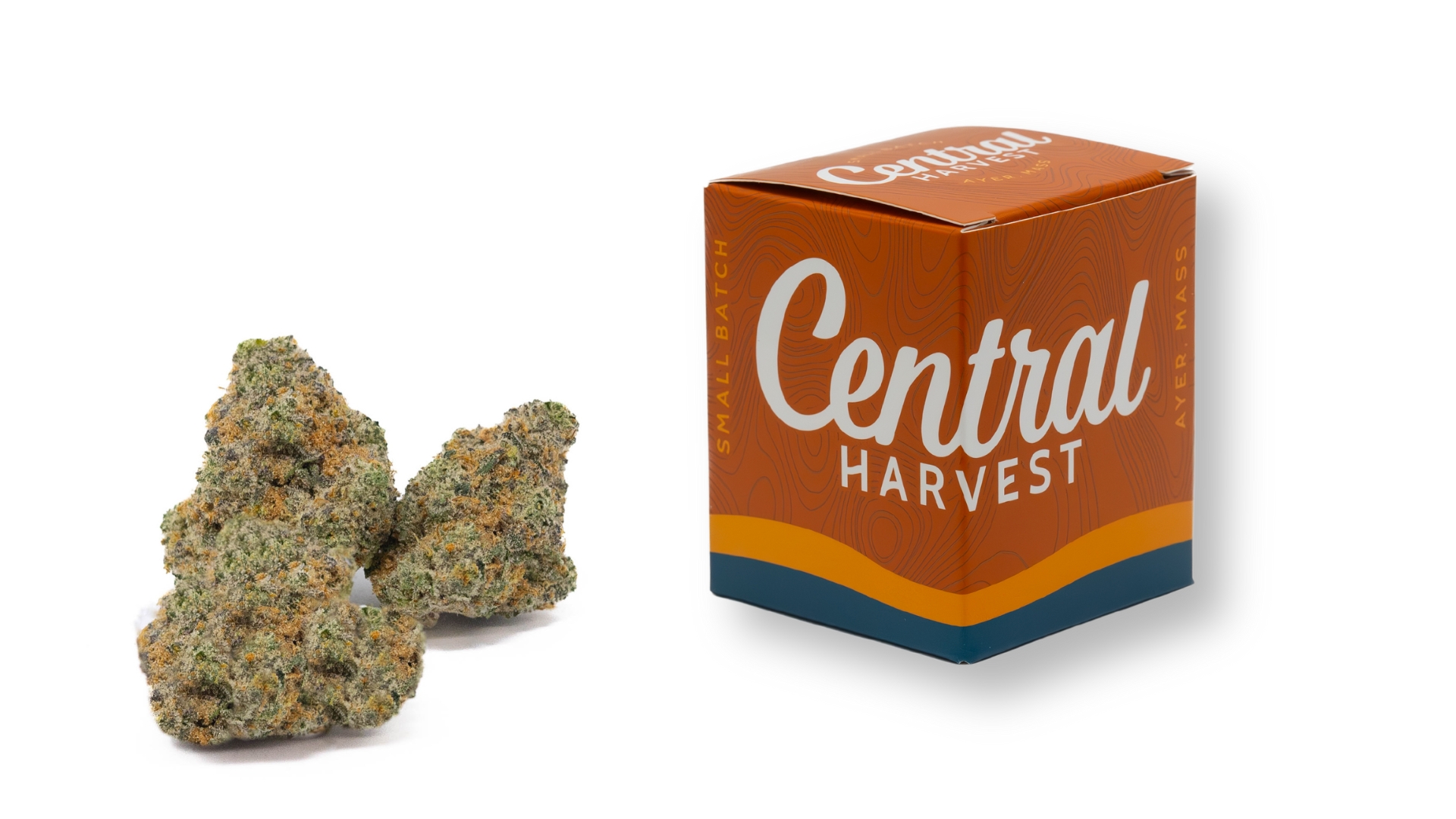 Goudaberry is a Hybrid Cannabis Strain grown and packaged at Central Harvest