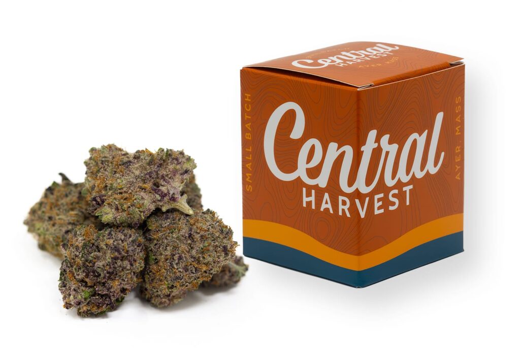 10th Planet Hybrid Cannabis strain grown at Central Harvest