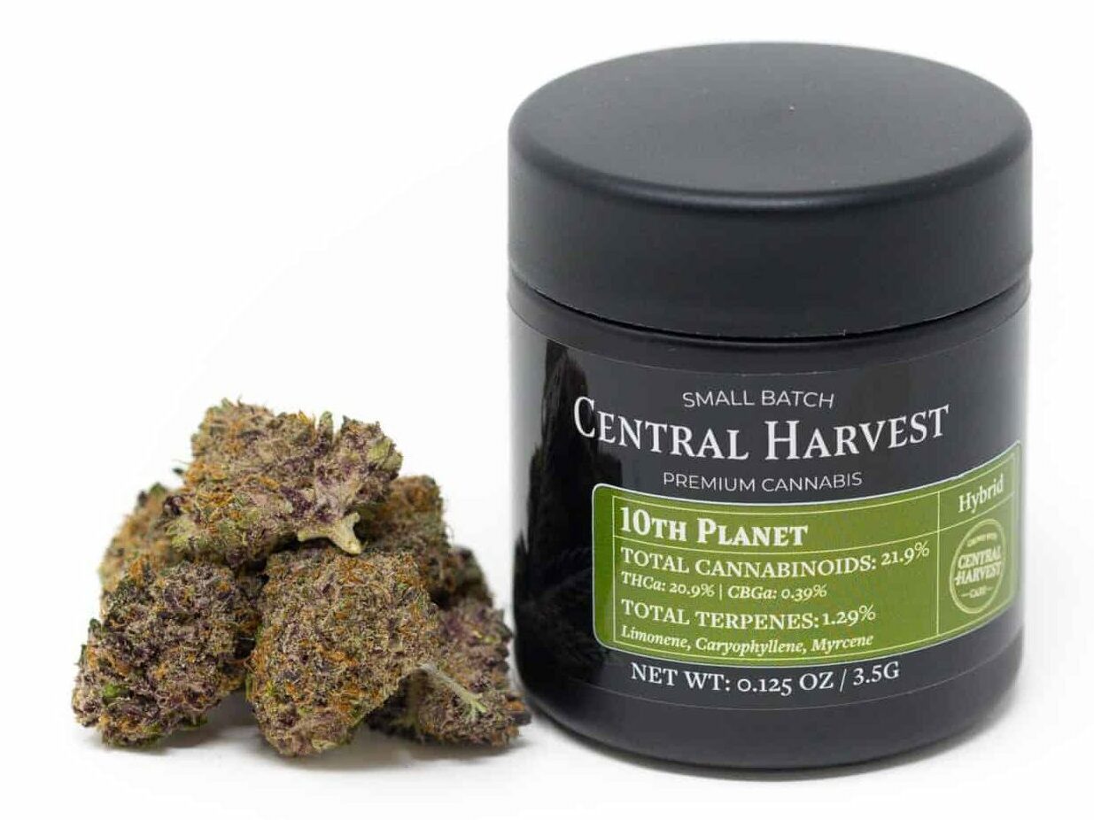 10th Planet, a hybrid Cannabis strain grown at Central Harvest