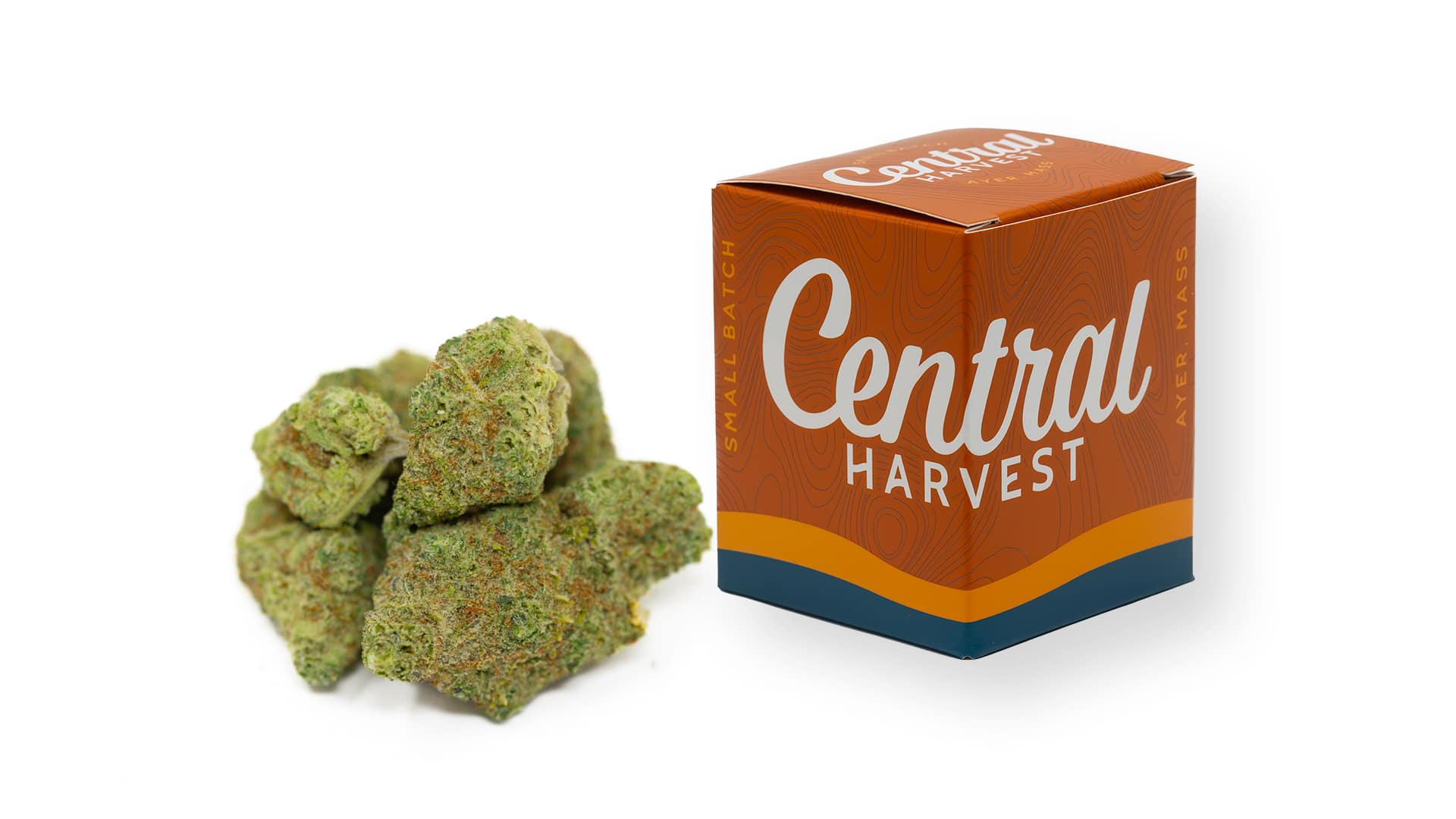 Citradelic Cookies is a High CBD Hybrid Cannabis strain grown by Central Harvest