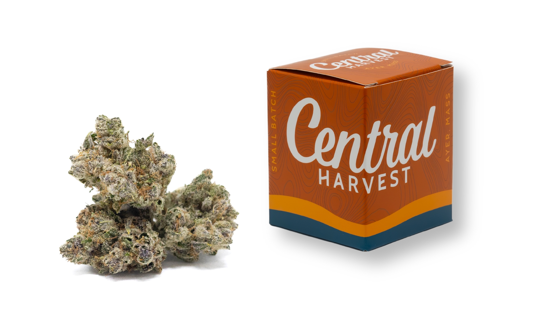 DCM Diesel is a Sativa Cannabis Strain grown and packaged at Central Harvest