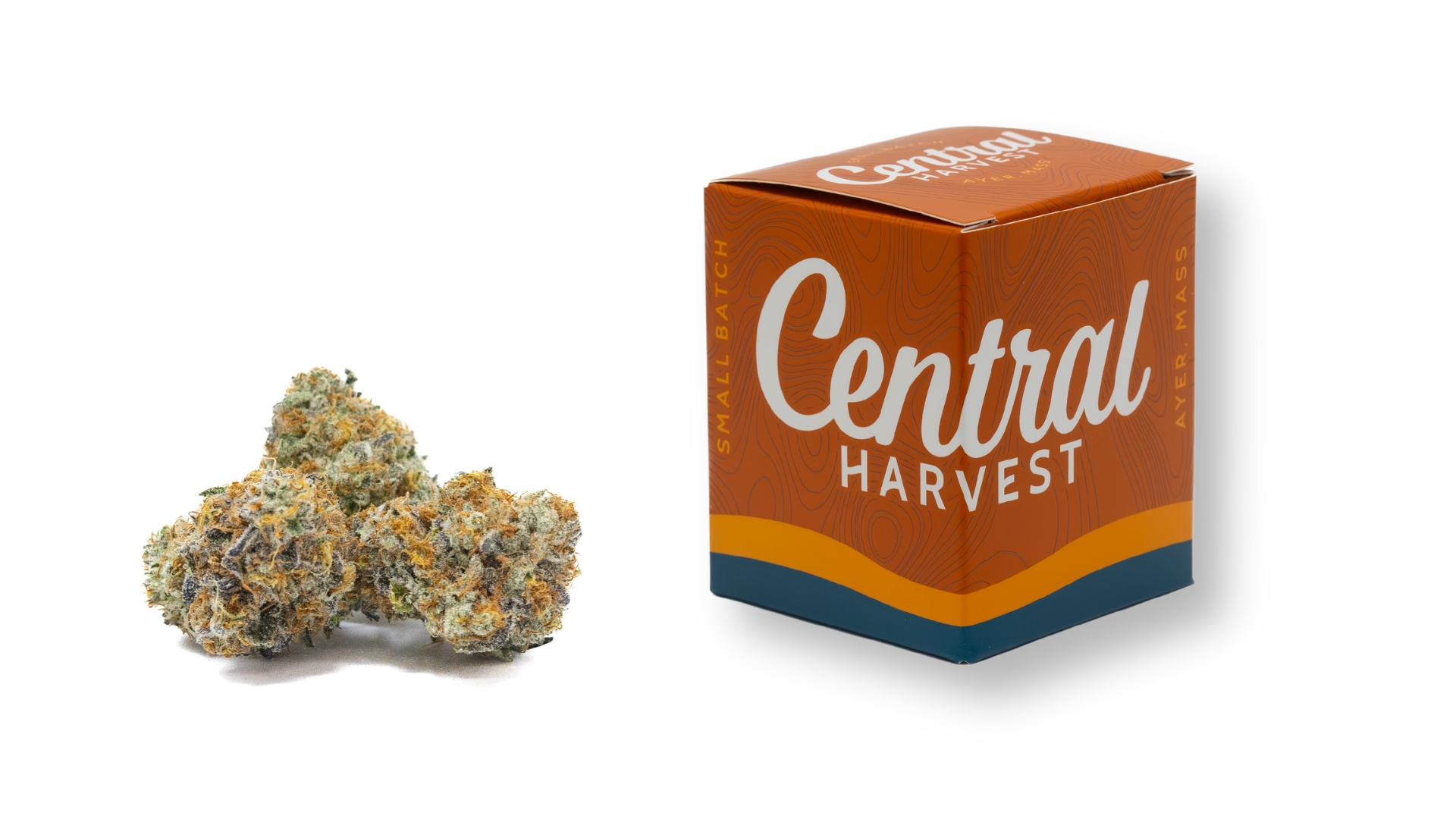 Don Carlos is a Hybrid Cannabis Strain grown and packaged at Central Harvest