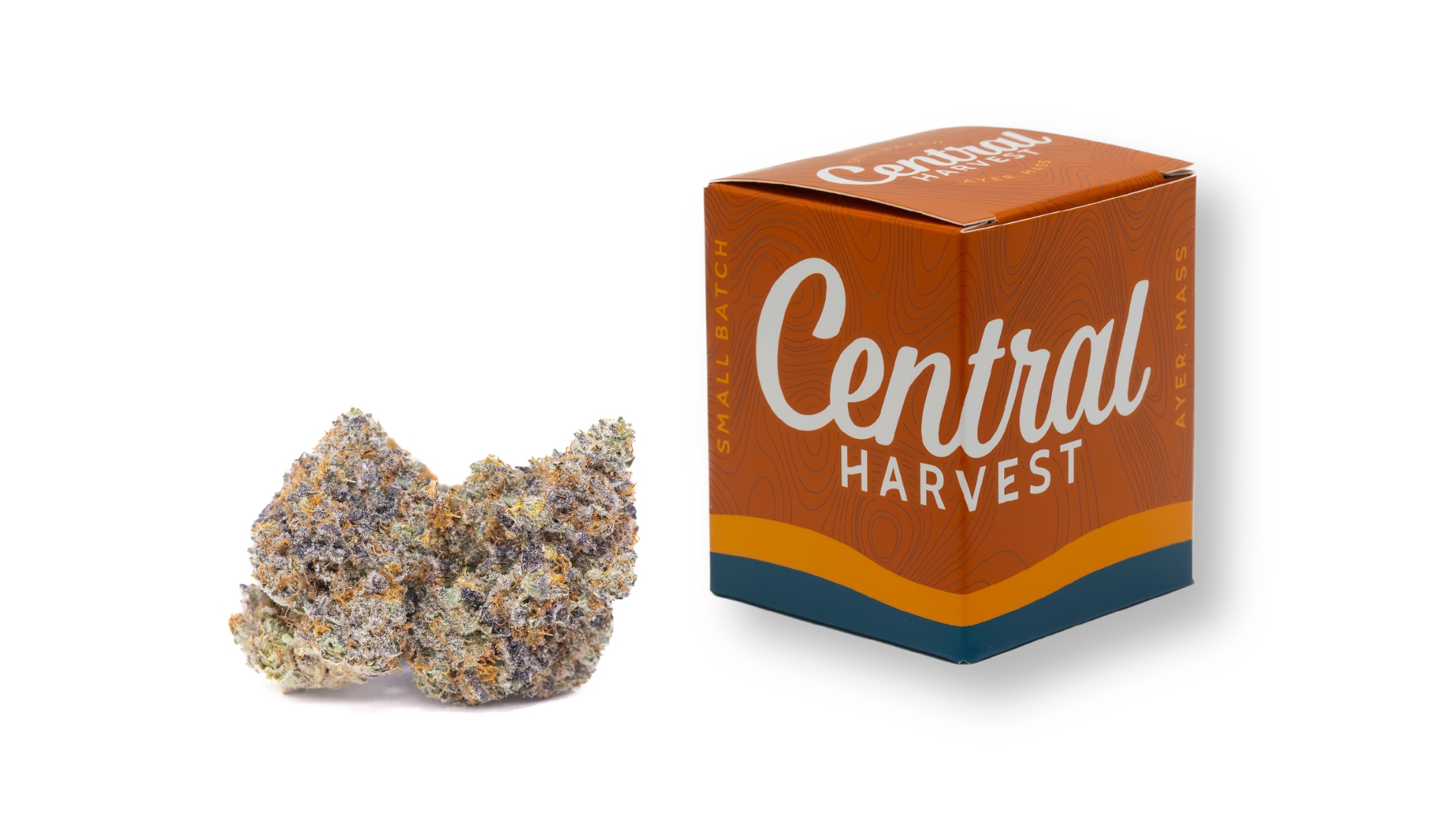 Don Carlos is a Hybrid Cannabis Strain grown and packaged at Central Harvest