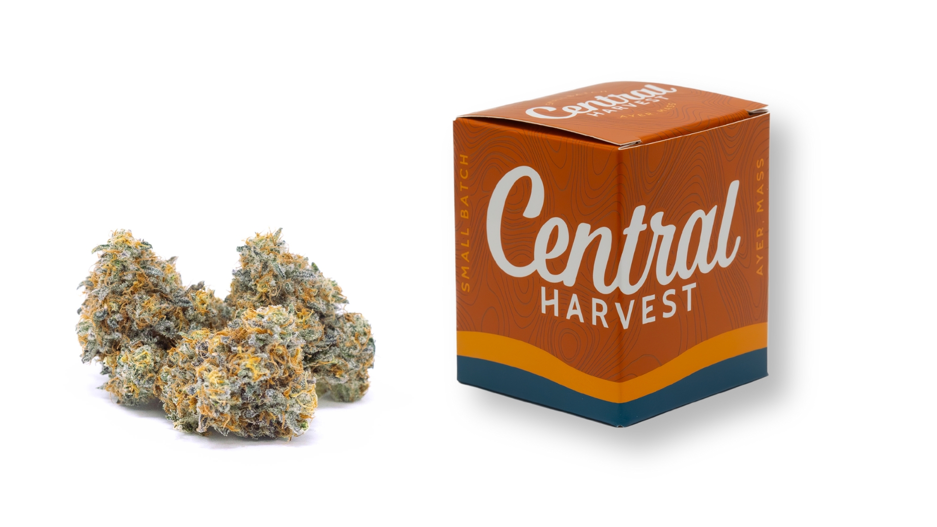 Don Carlos is a Hybrid Cannabis Strain grown and packaged at Central Harvest
