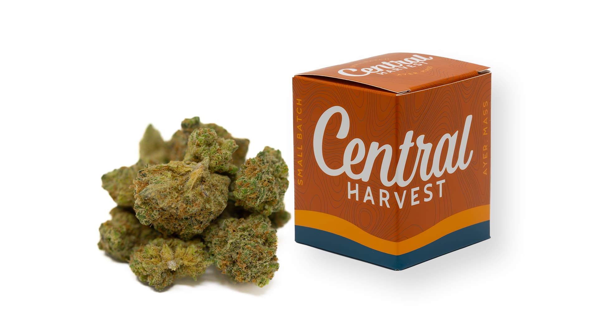 Ethos Apex F1 is a Hybrid Cannabis strain grown by Central Harvest