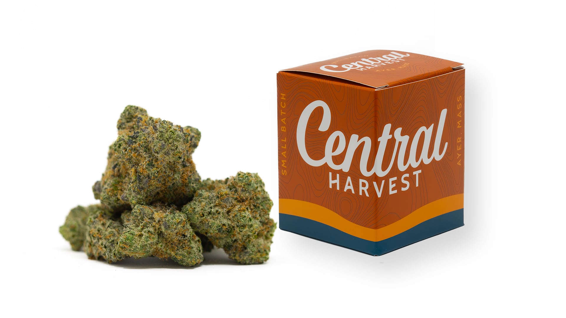 Falcon 9 an Indica Cannabis strain grown by Central Harvest