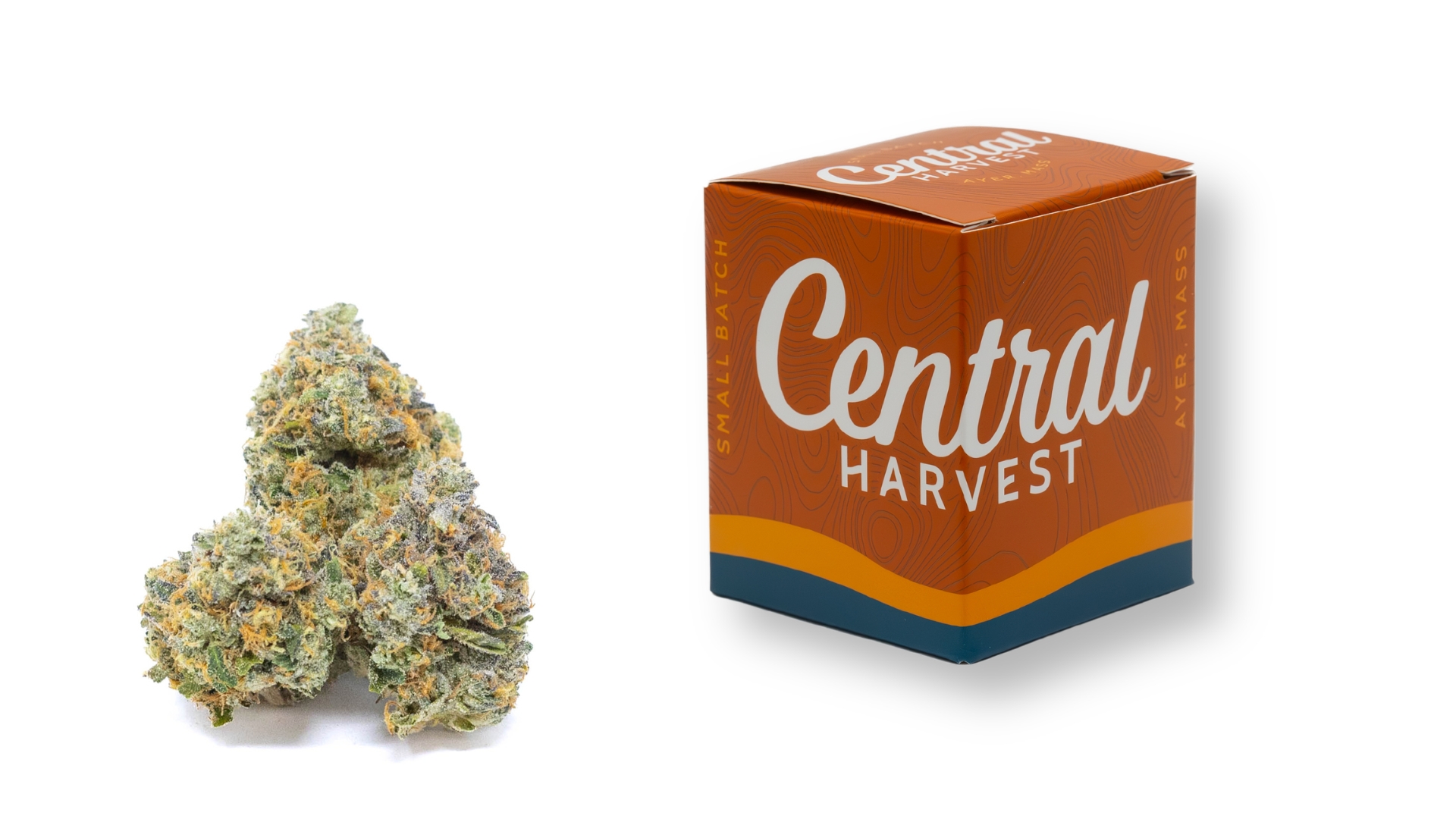 Falcon 9 is an Indica Cannabis Strain grown and packaged at Central Harvest