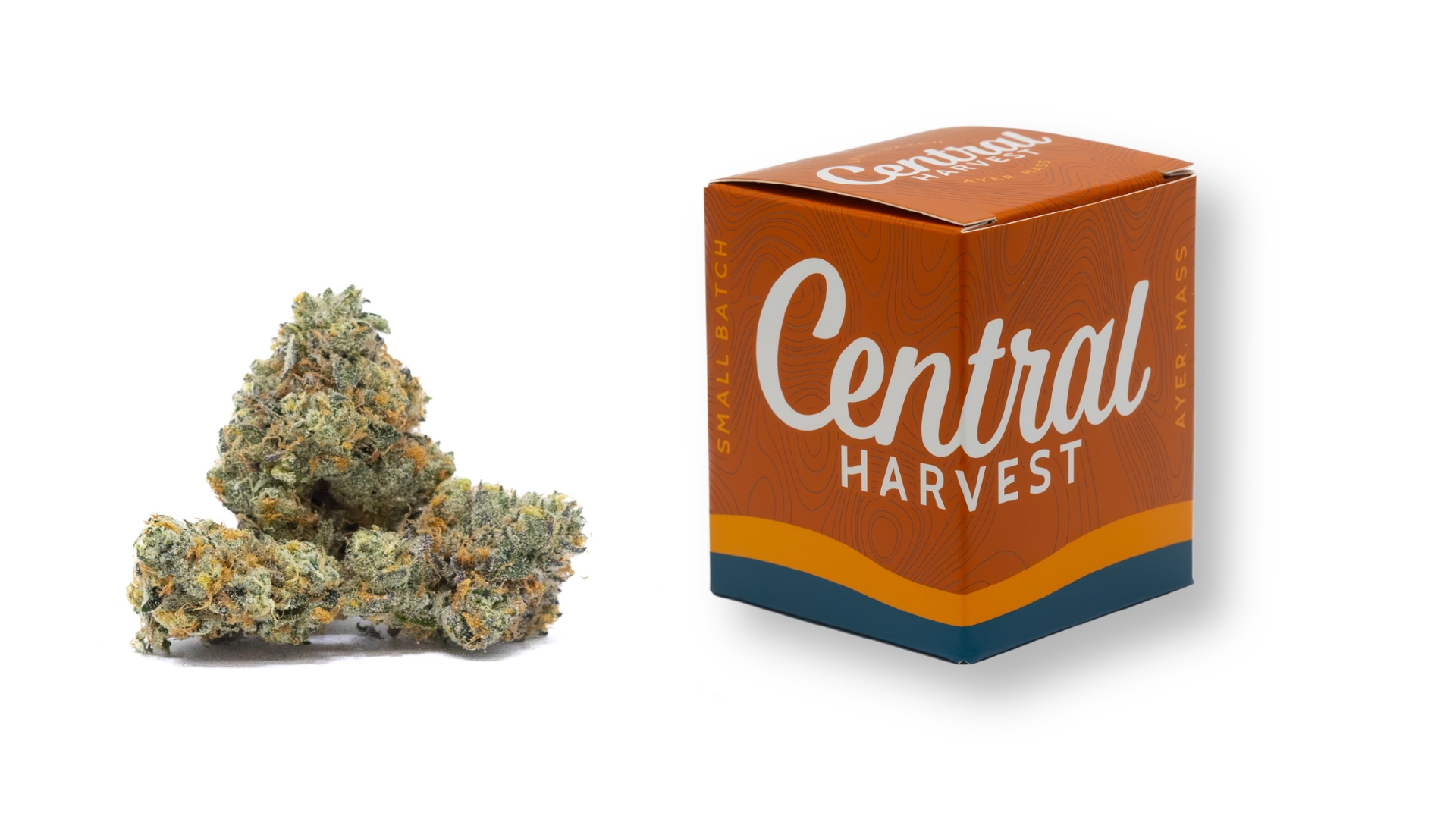 Falcon 9 is an Indica Cannabis Strain grown and packaged at Central Harvest