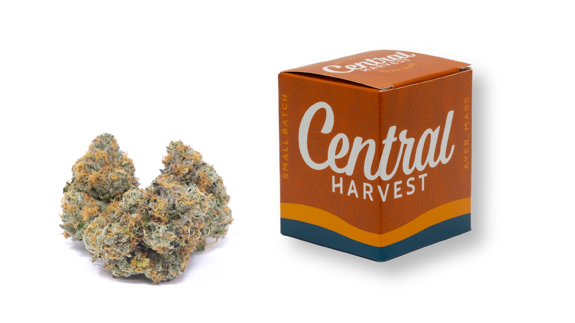 Falcon 9 is an Indica Cannabis Strain grown and packaged at Central Harvest