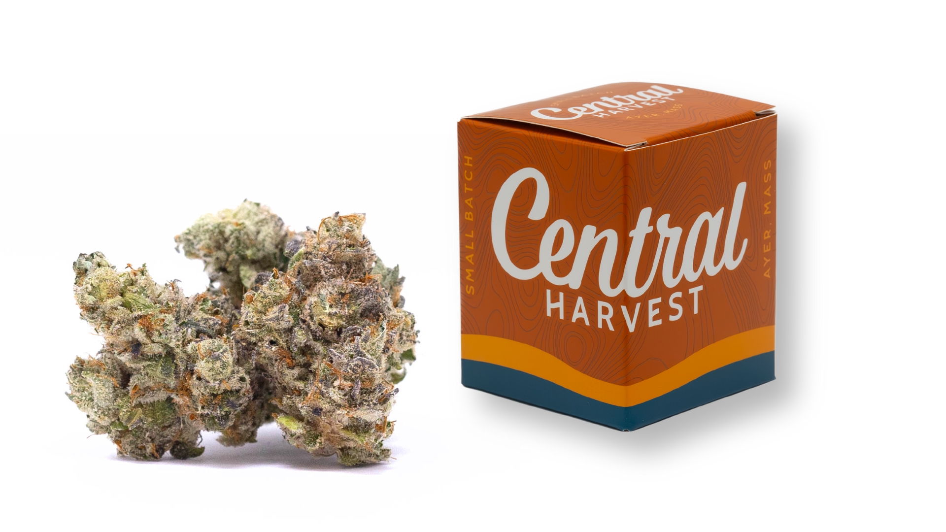 French Macaron is a Sativa Cannabis Strain grown and packaged at Central Harvest