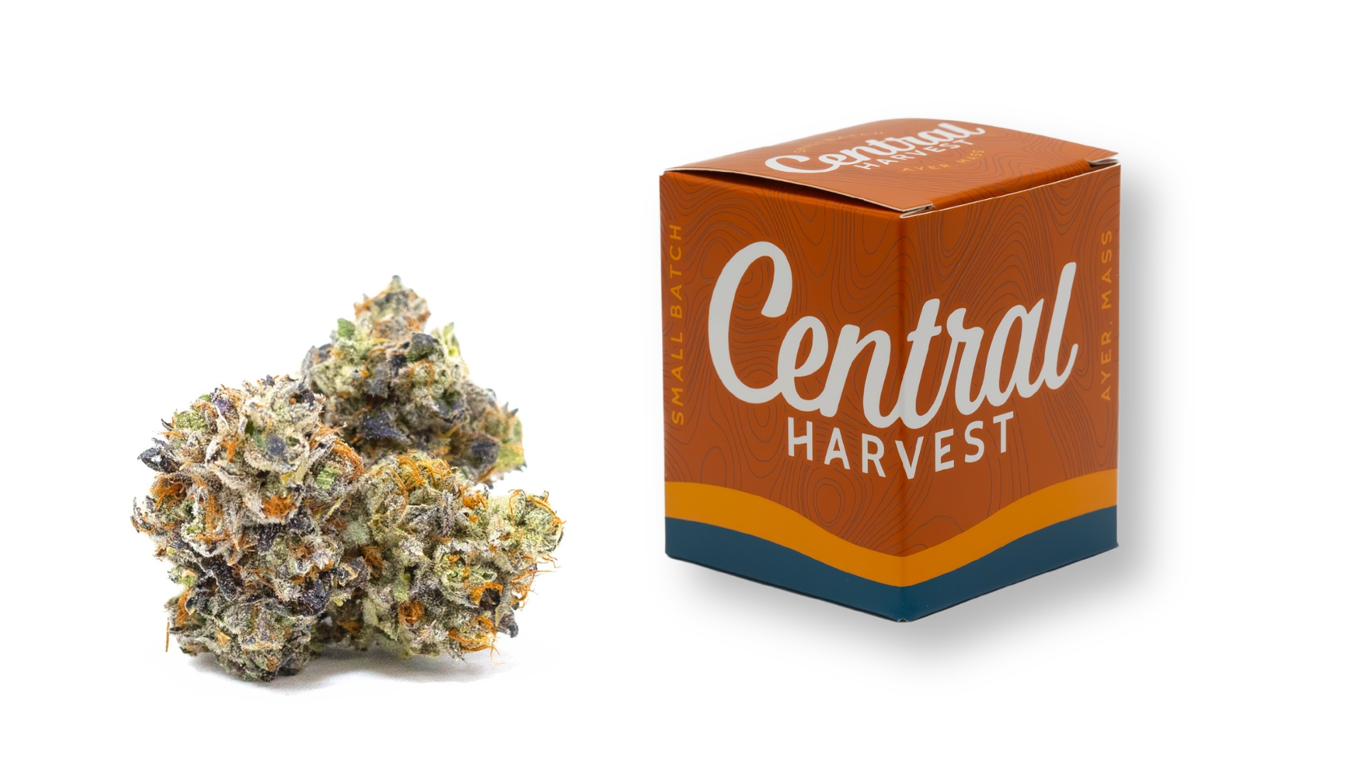 French Macaron is a Sativa Cannabis Strain grown and packaged at Central Harvest