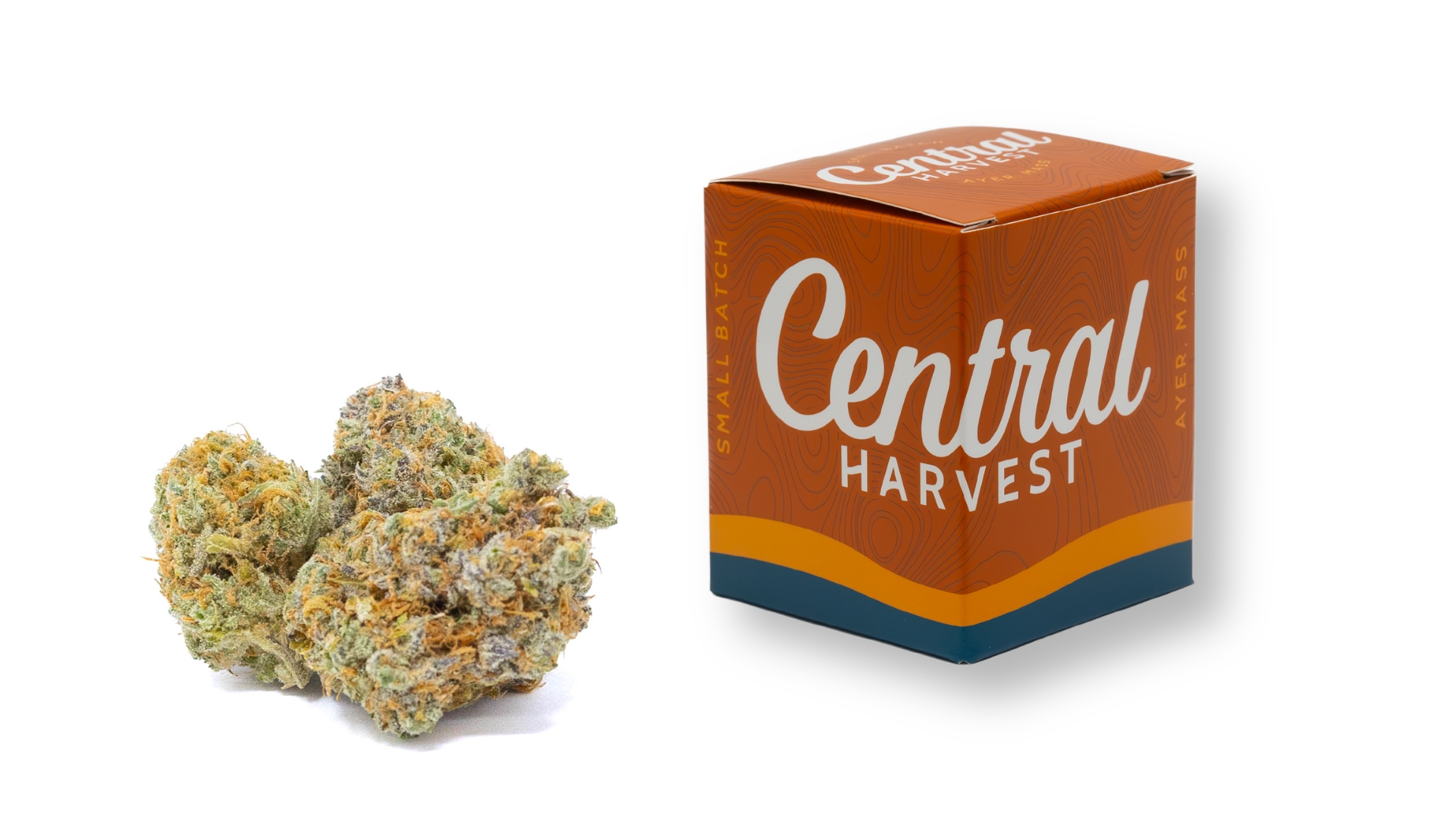 Gilz Nilz is a Hybrid Cannabis Strain grown and packaged at Central Harvest