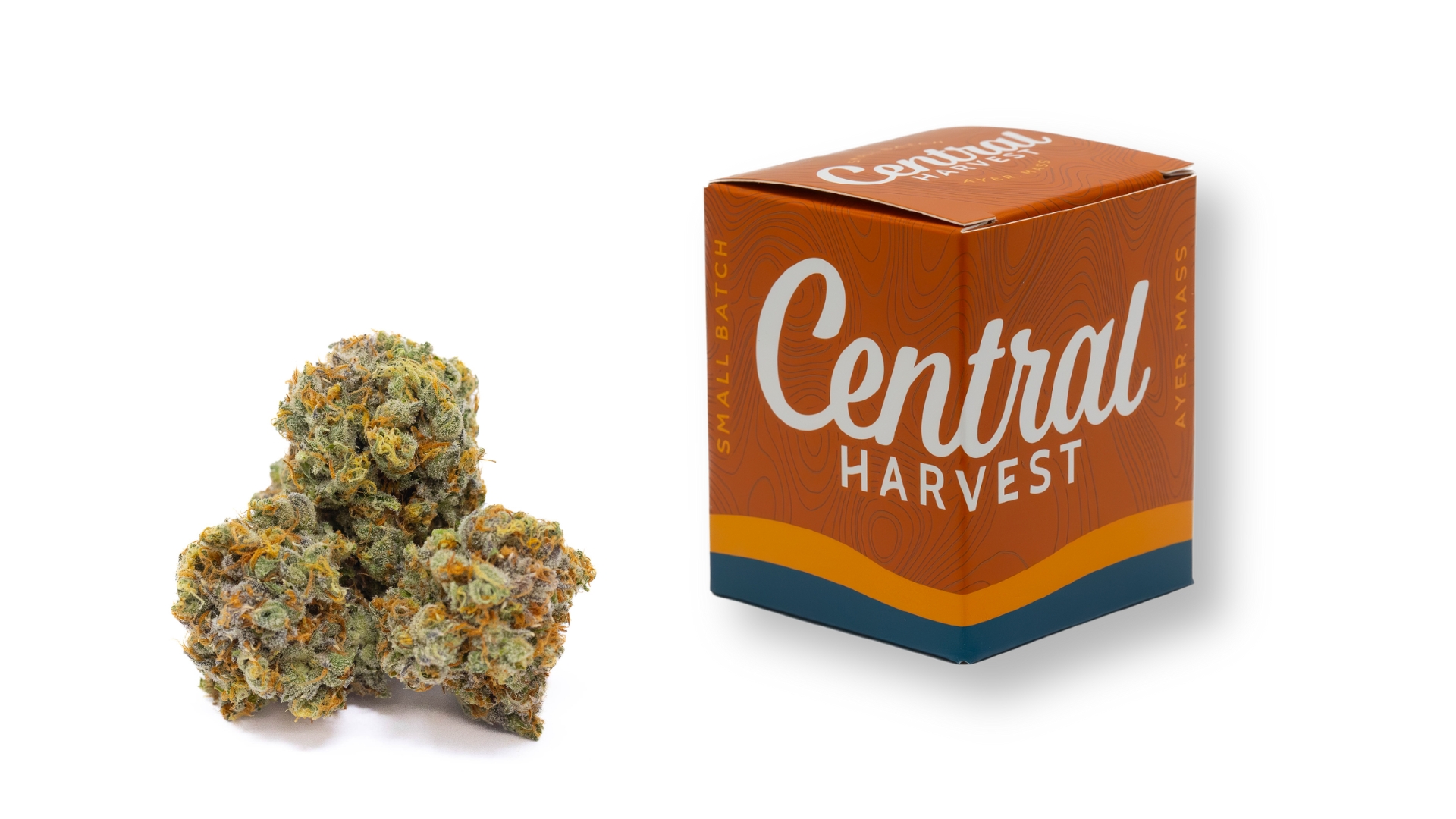 Gilz Nilz is a hybrid Cannabis Strain grown and packaged at Central Harvest