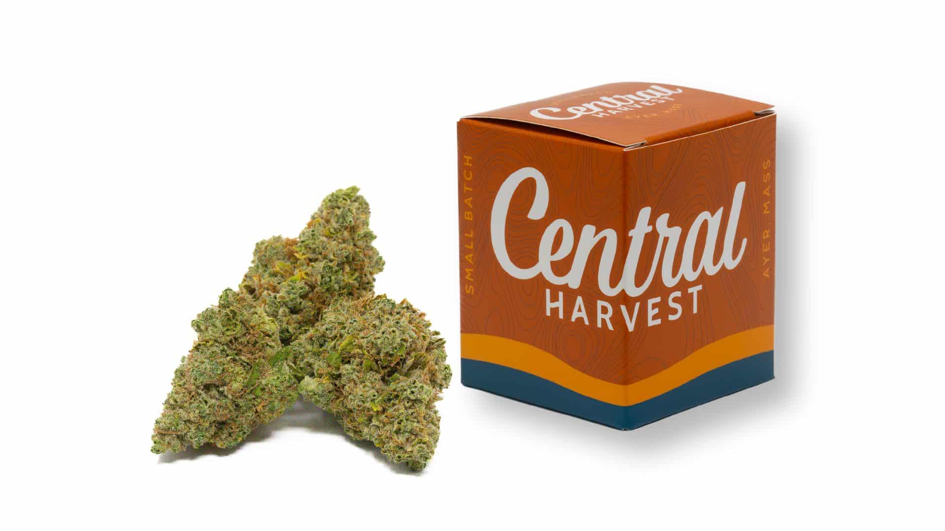 Humboldt Sour Diesel is a Sativa Cannabis strain grown by Central Harvest