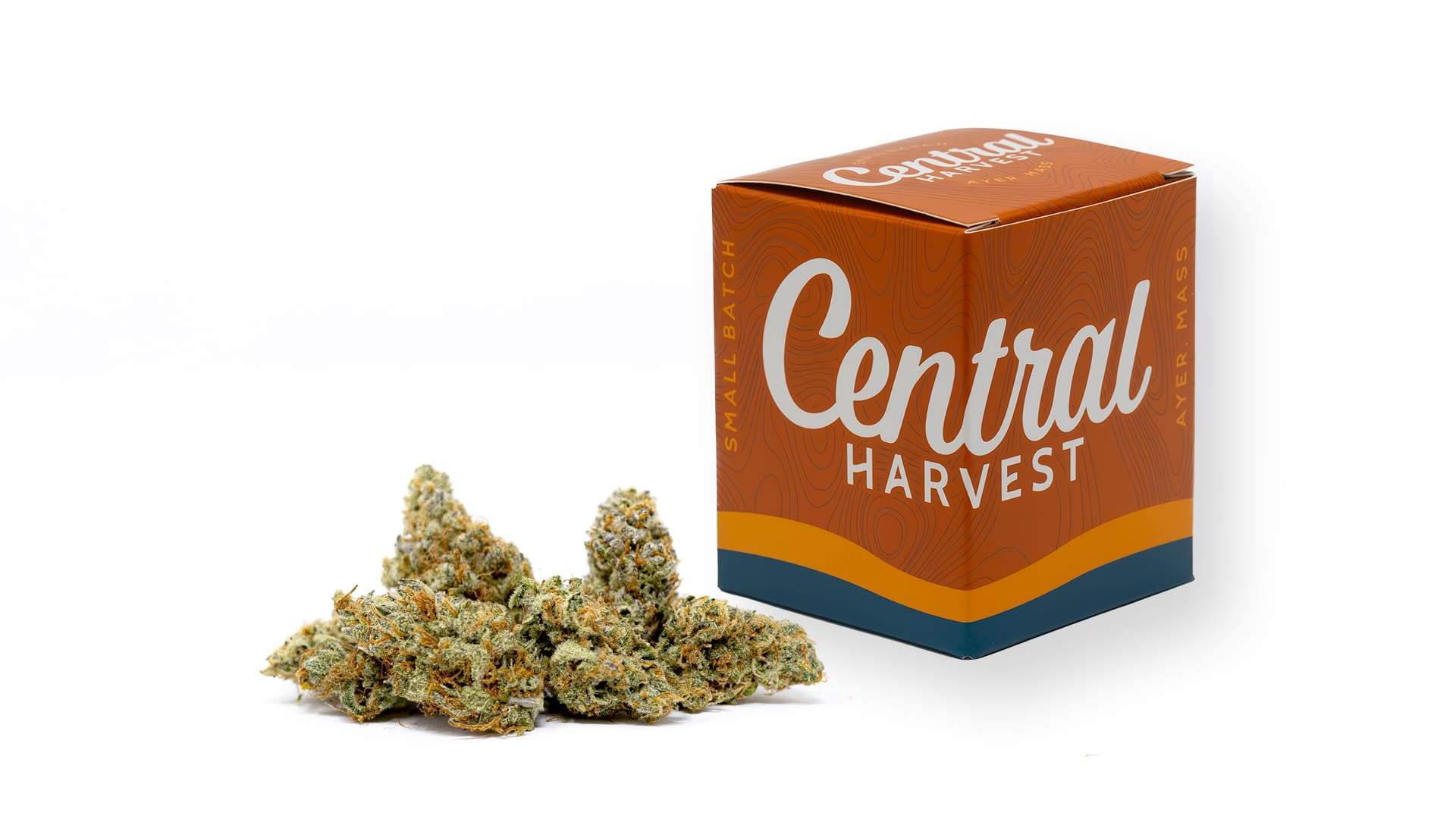 Mandarin Sunset is an Indica Cannabis Strain grown at Central Harvest