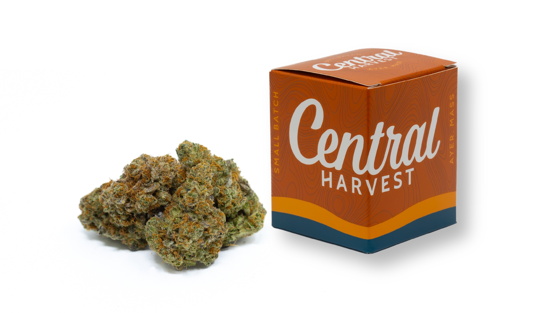 Mike's Strawberry Lemonade is a Hybrid Cannabis Strain Grown & Packaged at Central Harvest