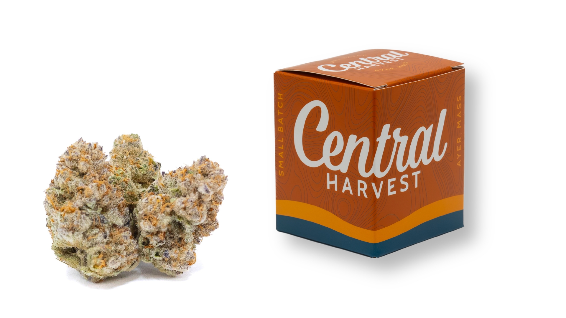 Mike's Strawberry Lemonade is a Hybrid Cannabis Strain grown and packaged at Central Harvest