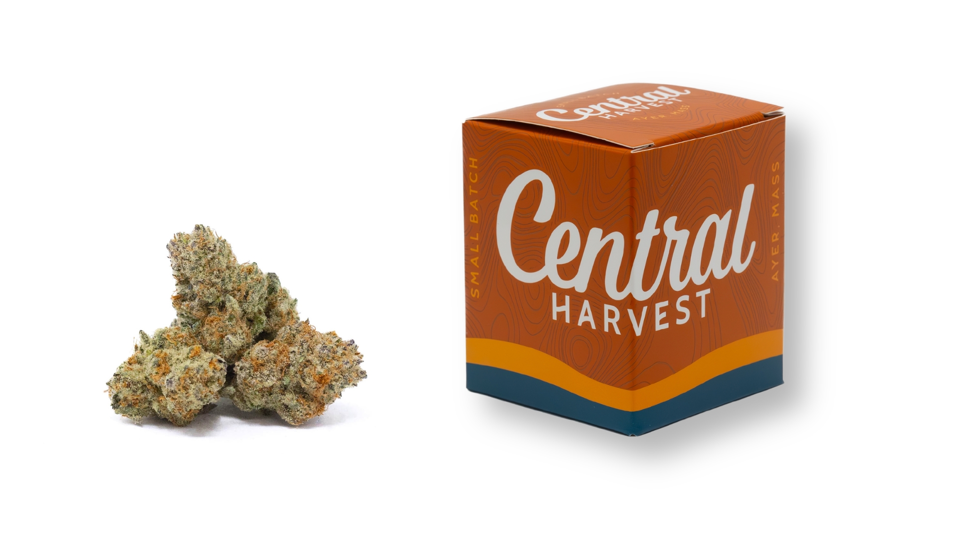 Mike's Strawberry Lemonade is a Hybrid Cannabis Strain grown and packaged at Central Harvest