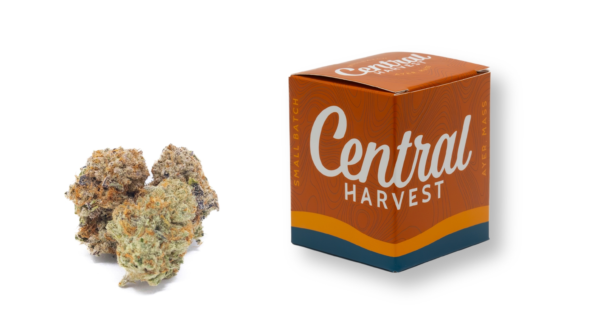 Mike's Strawberry Lemonade is a Hybrid Cannabis Strain grown and packaged at Central Harvest