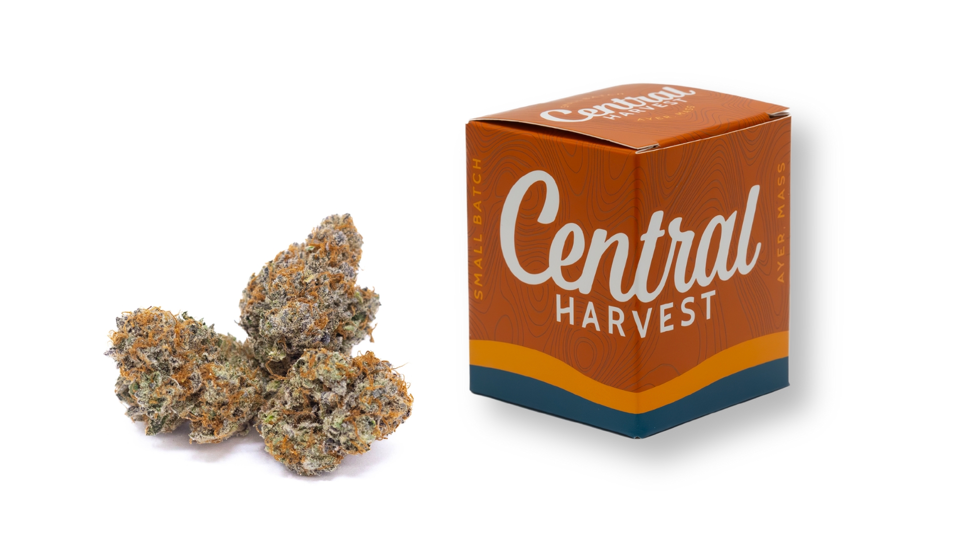 Mont Blanc is a Sativa Cannabis Strain grown and packaged at Central Harvest