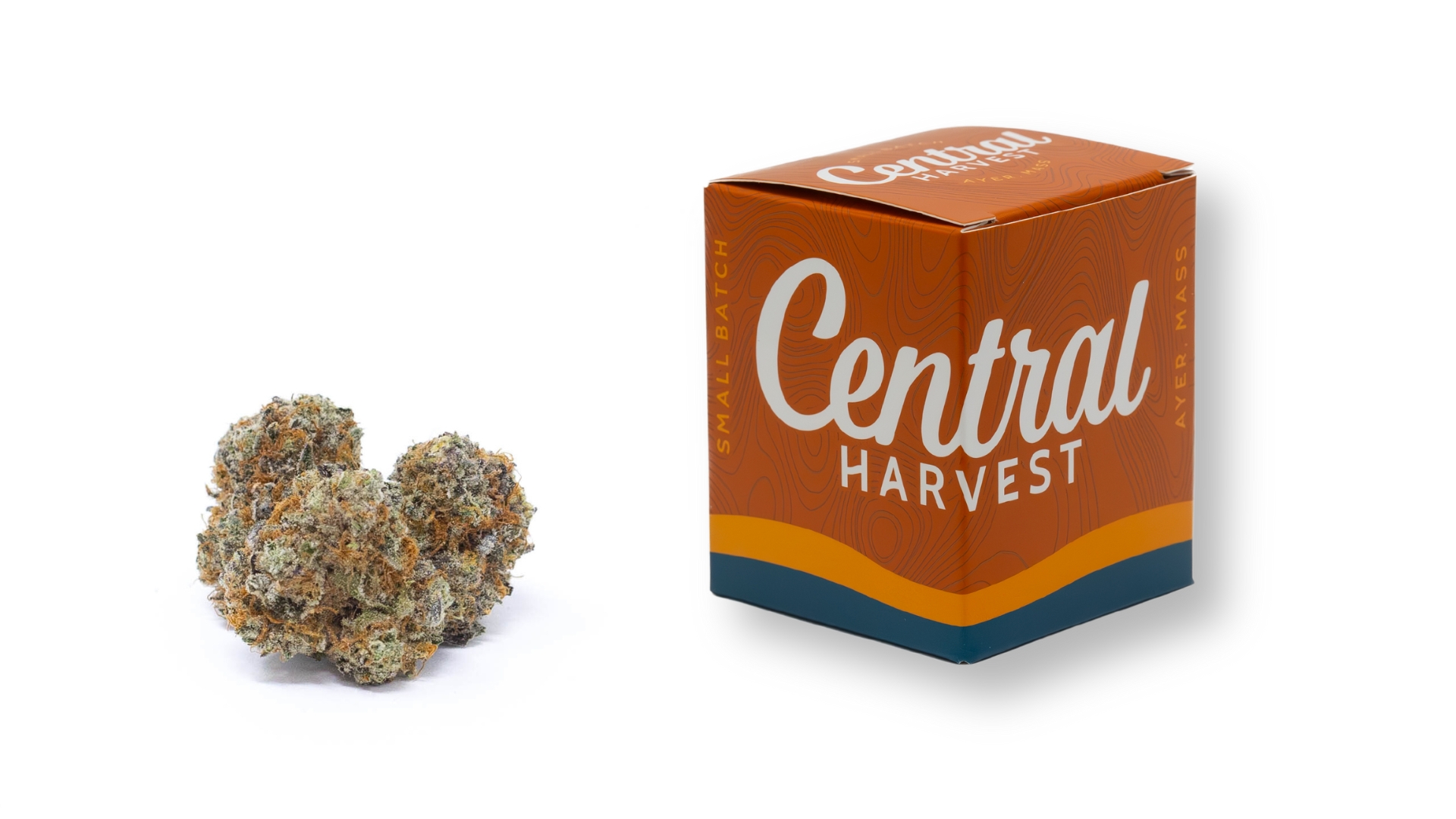 Mont Blanc is a Sativa Cannabis Strain grown and packaged at Central Harvest
