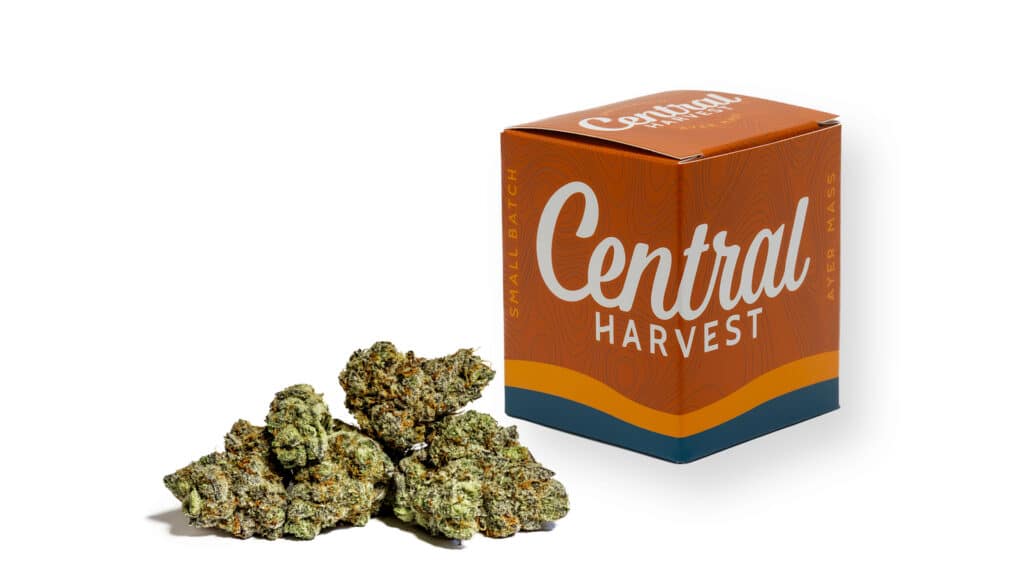 Peanut Butter & Chocolate is an Indica Cannabis Strain grown at Central Harvest