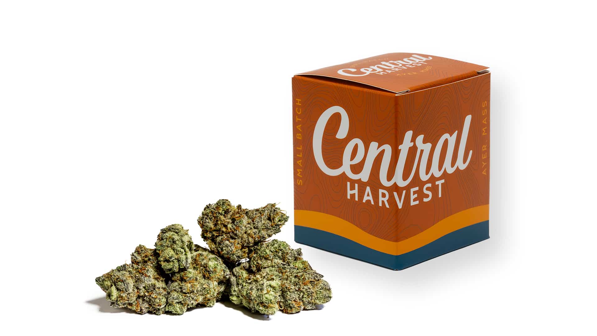 Peanut Butter & Chocolate is an Indica Cannabis Strain grown at Central Harvest