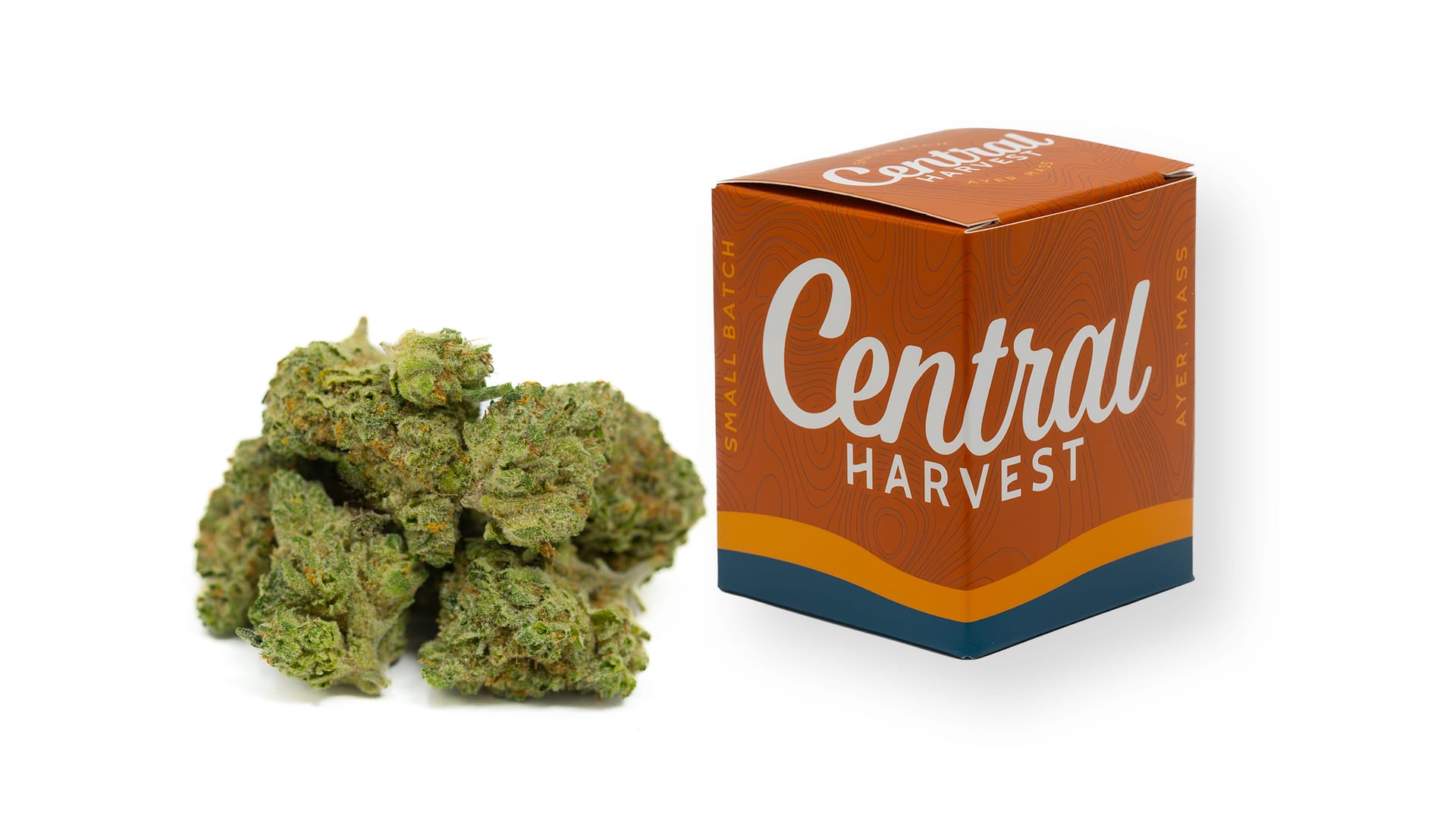 SIS-DMV is an Indica Cannabis Strain grown at Central Harvest