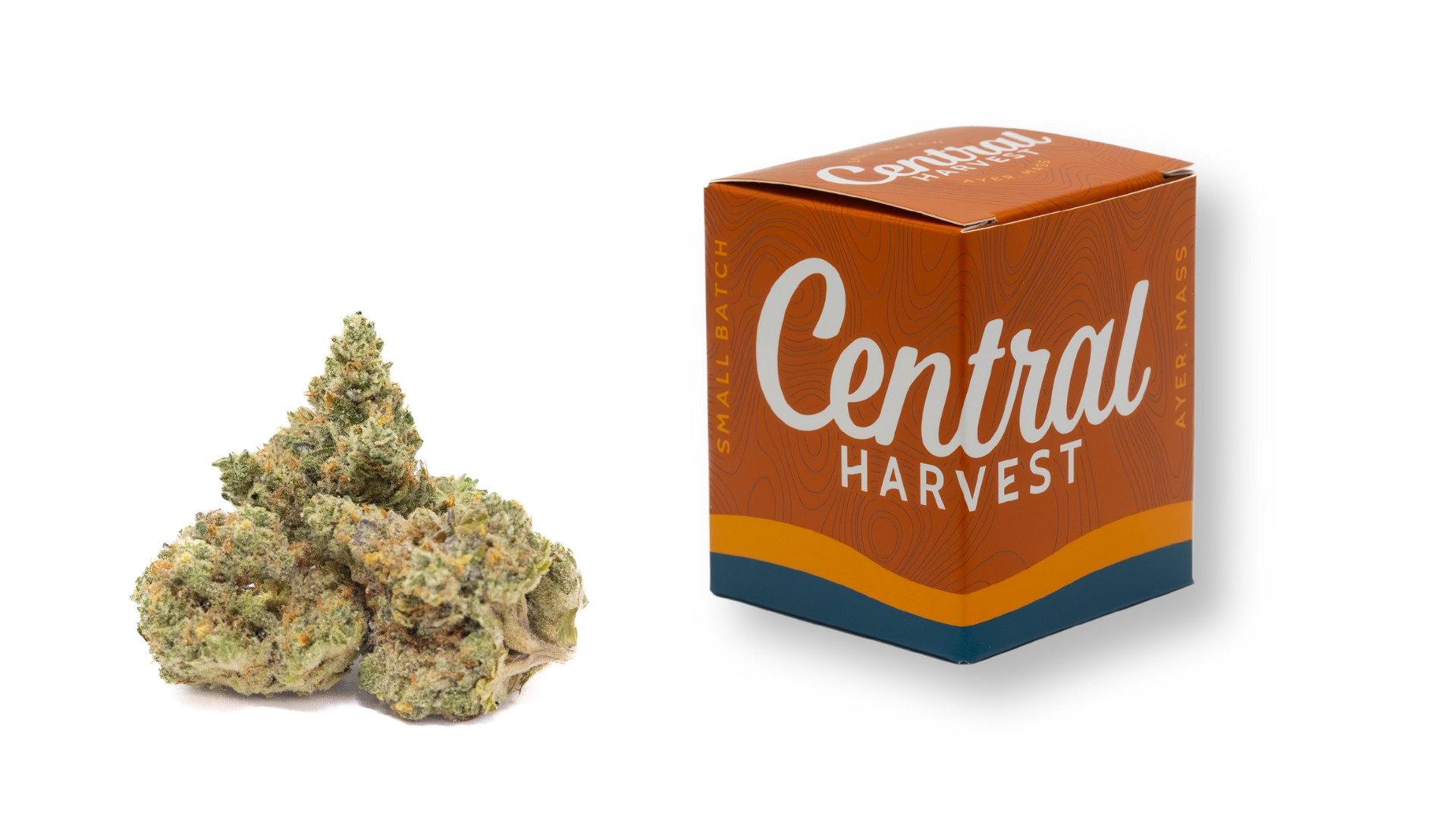 SIS-DMV is an Indica Cannabis Strain grown and packaged at Central Harvest