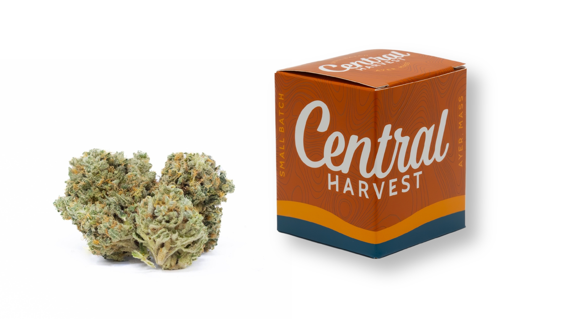 SIS-DMV is an Indica Cannabis Strain grown and packaged at Central Harvest