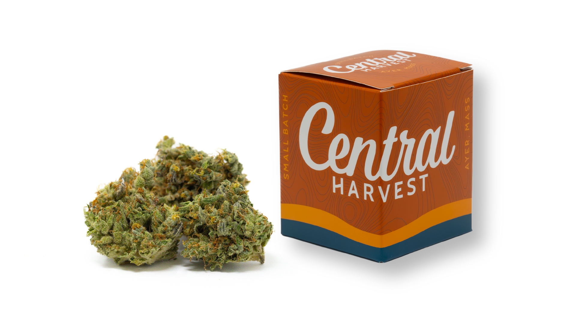 SIS-DMV is an Indica cannabis strain grown at Central Harvest