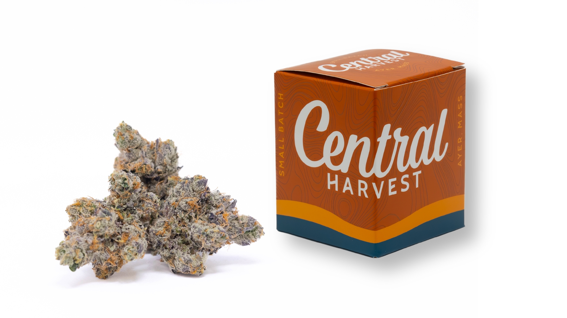 Sour Fritter is a Sativa Cannabis Strain grown and packaged at Central Harvest
