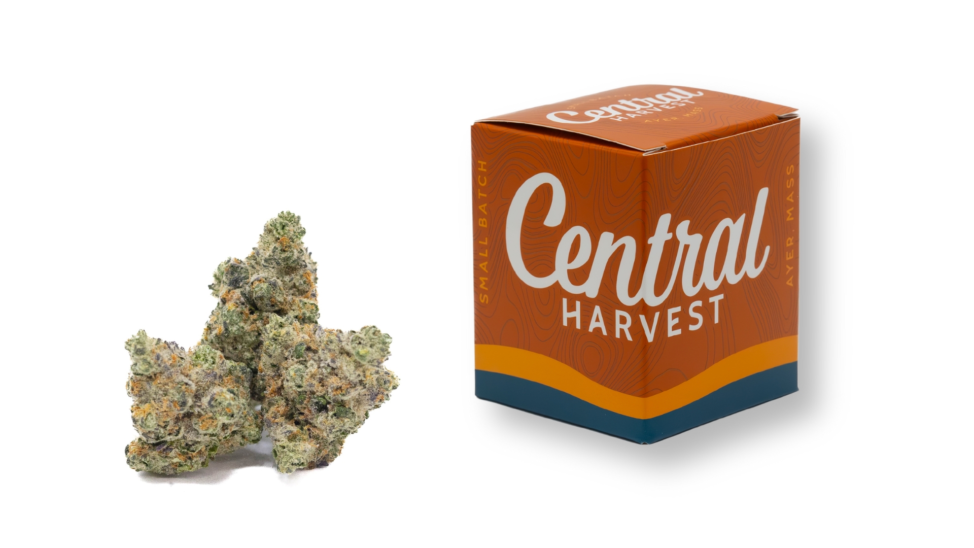 Sour Fritter is a Sativa Cannabis Strain grown and packaged at Central Harvest