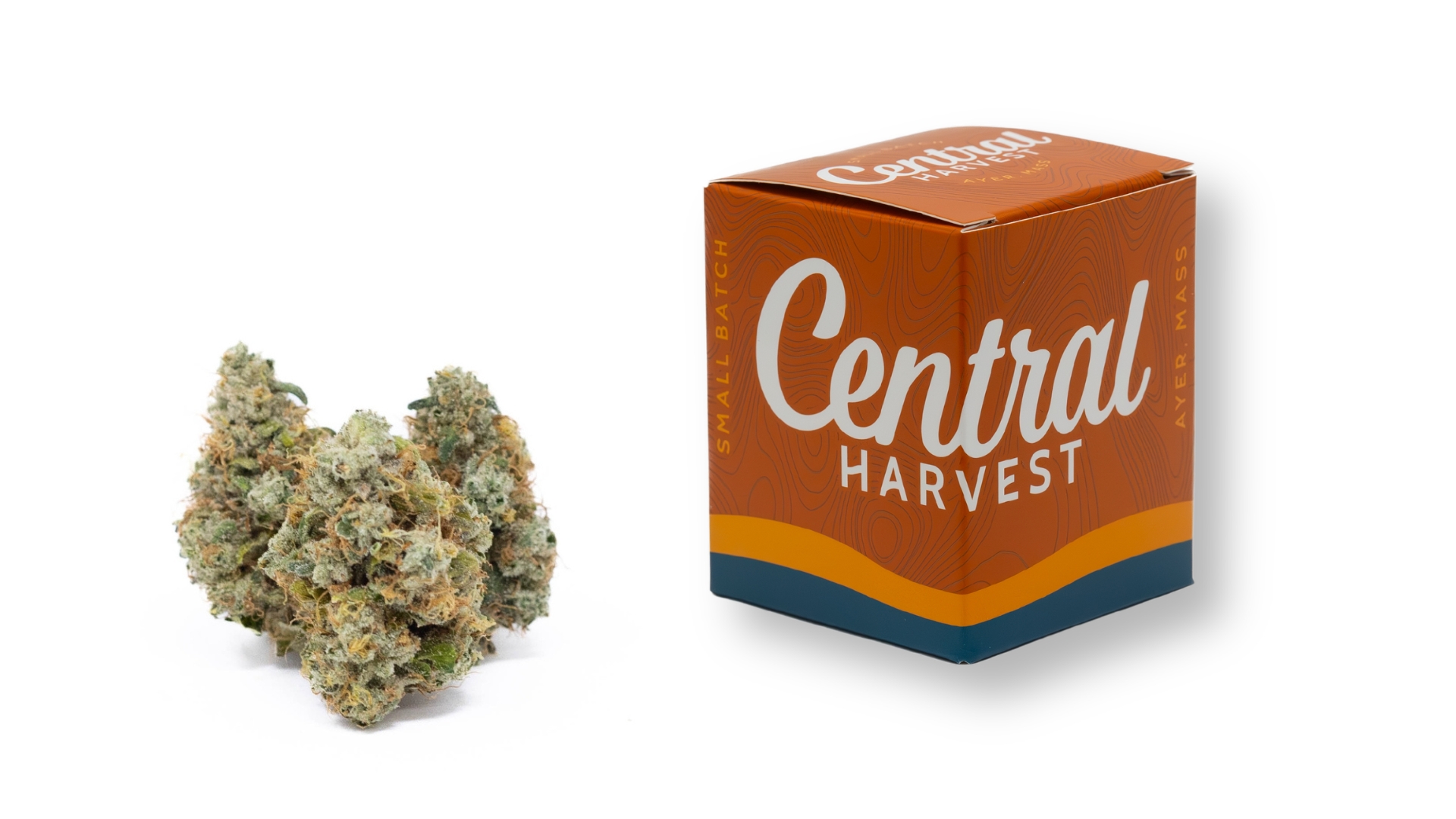 South Park Chem is an Indica Cannabis Strain grown and packaged at Central Harvest