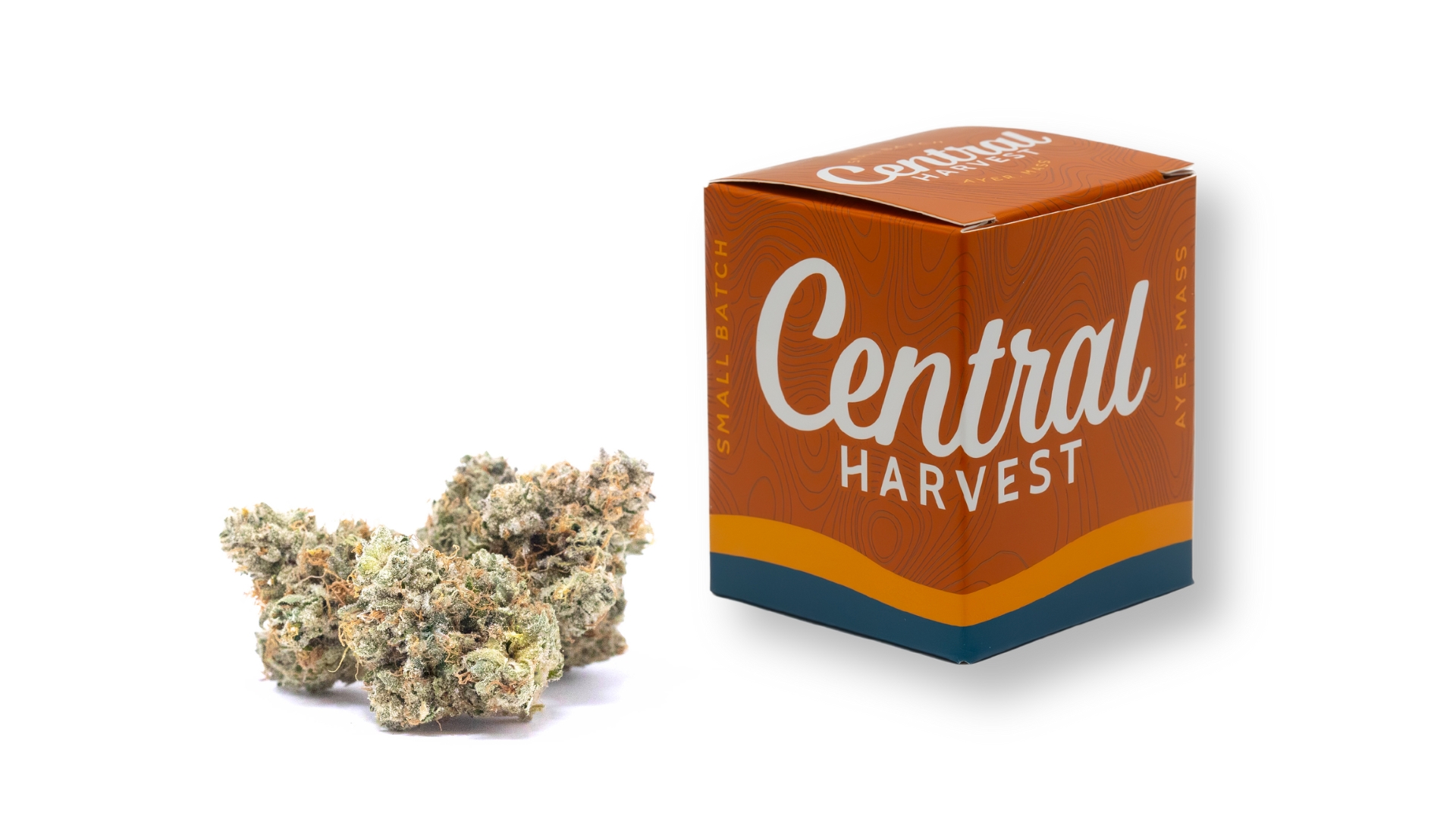 South Park Chem is a Indica Cannabis Strain grown and packaged at Central Harvest