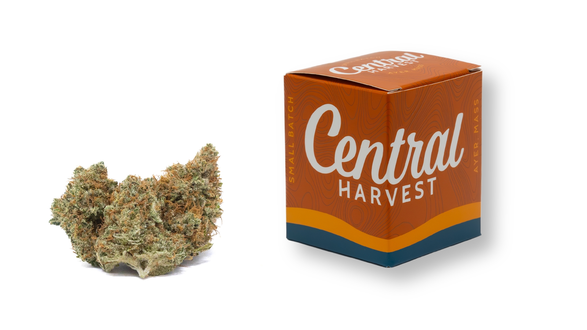 Super Silver Star is a Sativa Cannabis Strain grown and packaged at Central Harvest