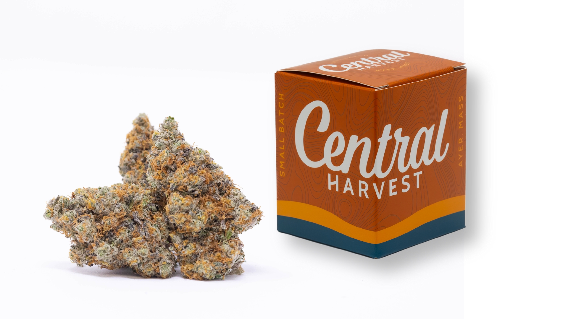 Tickle Burger is an Indica Cannabis Strain grown and packaged at Central Harvest