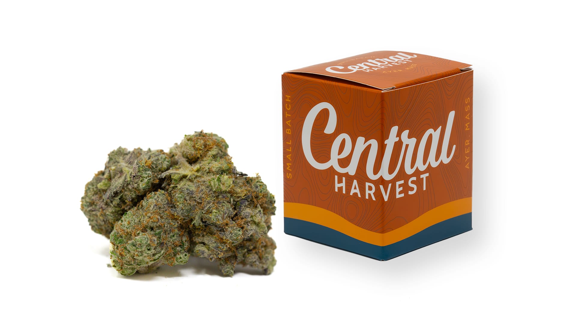 Tickle Burger is an Indica Cannabis Strain grown at Central Harvest