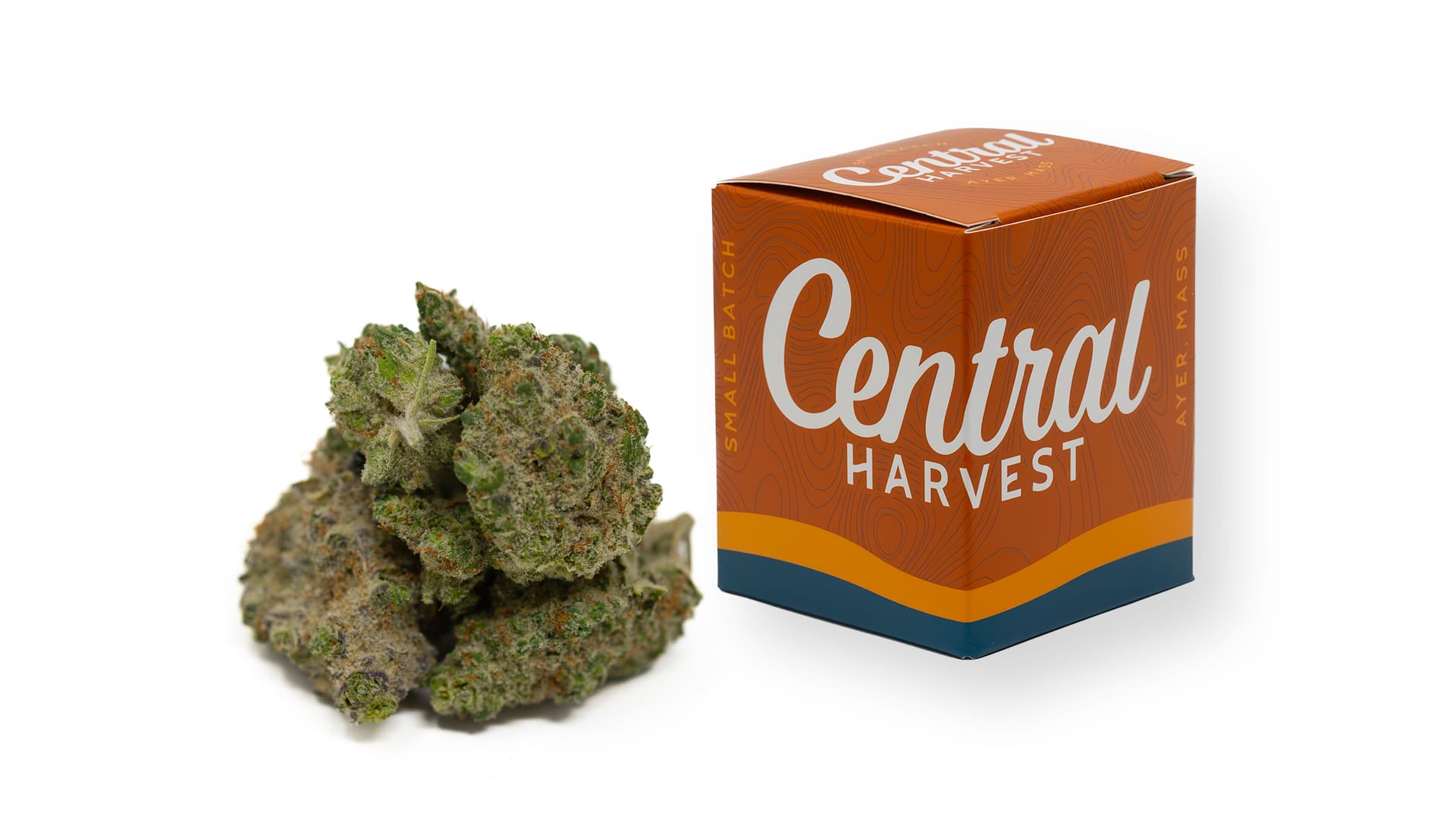 Planet of the Grapes is an Indica Cannabis Strain grown at Central Harvest