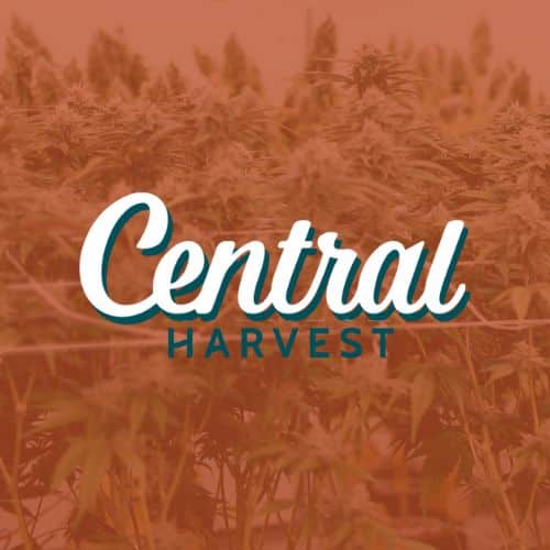 Massachusetts Dispensary in Ayer Gage Cannabis Co.